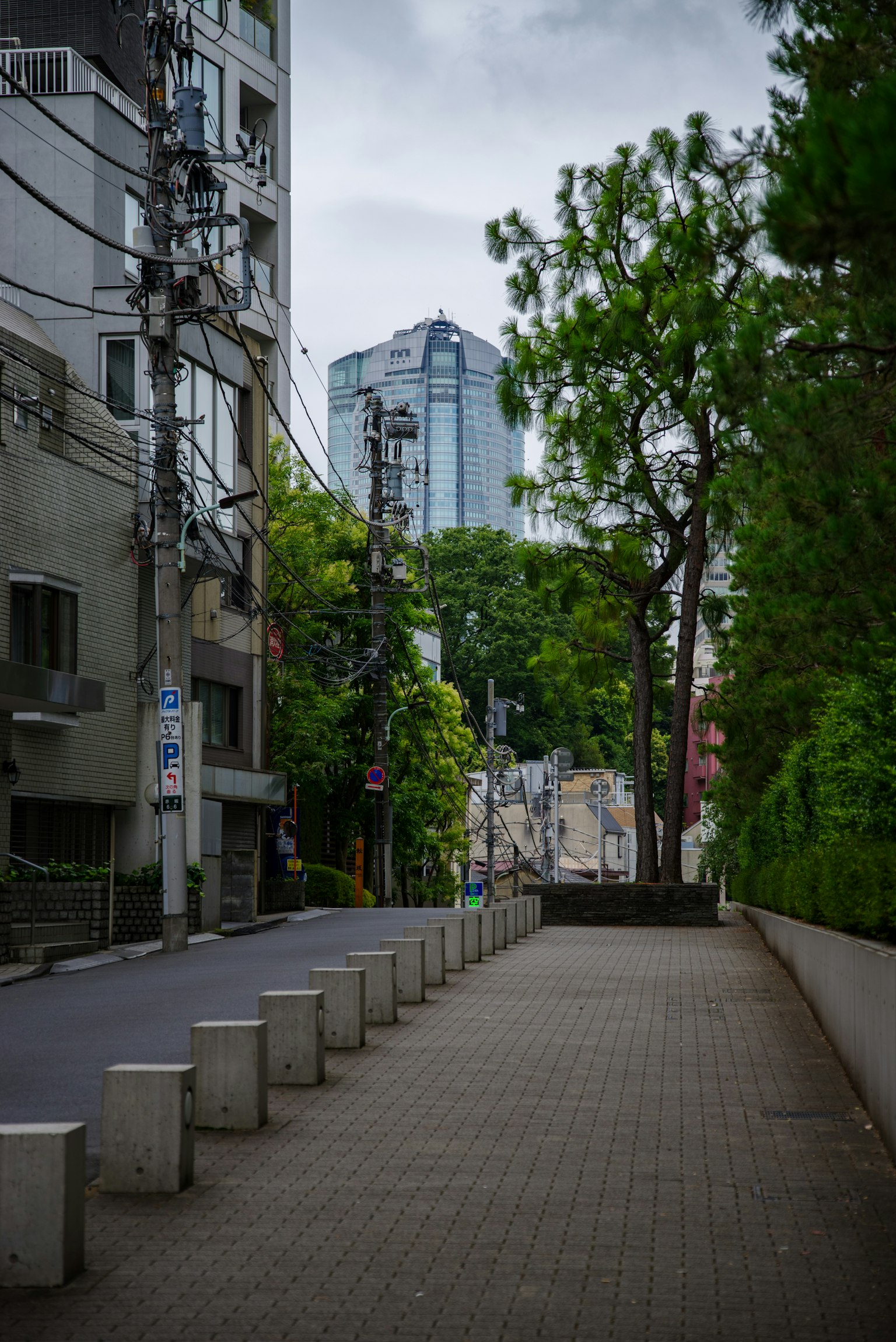 Escena de calle urbana tranquila con edificios altos y árboles verdes