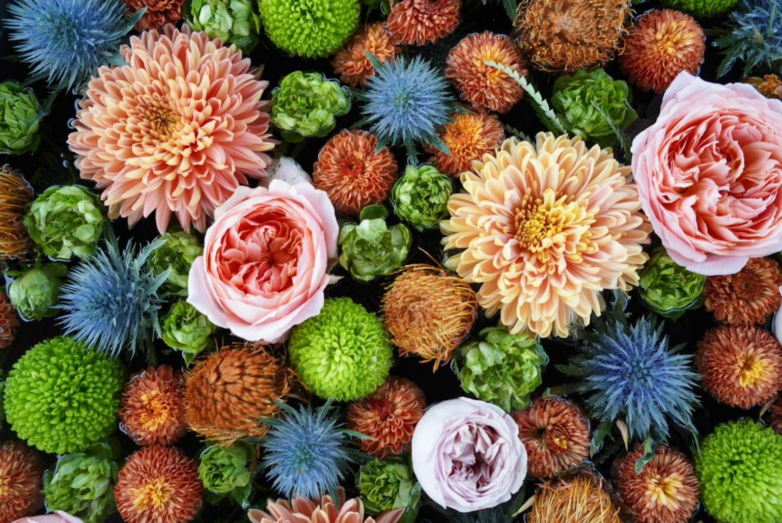 Un vivace arrangiamento di vari fiori e piante con fioriture colorate