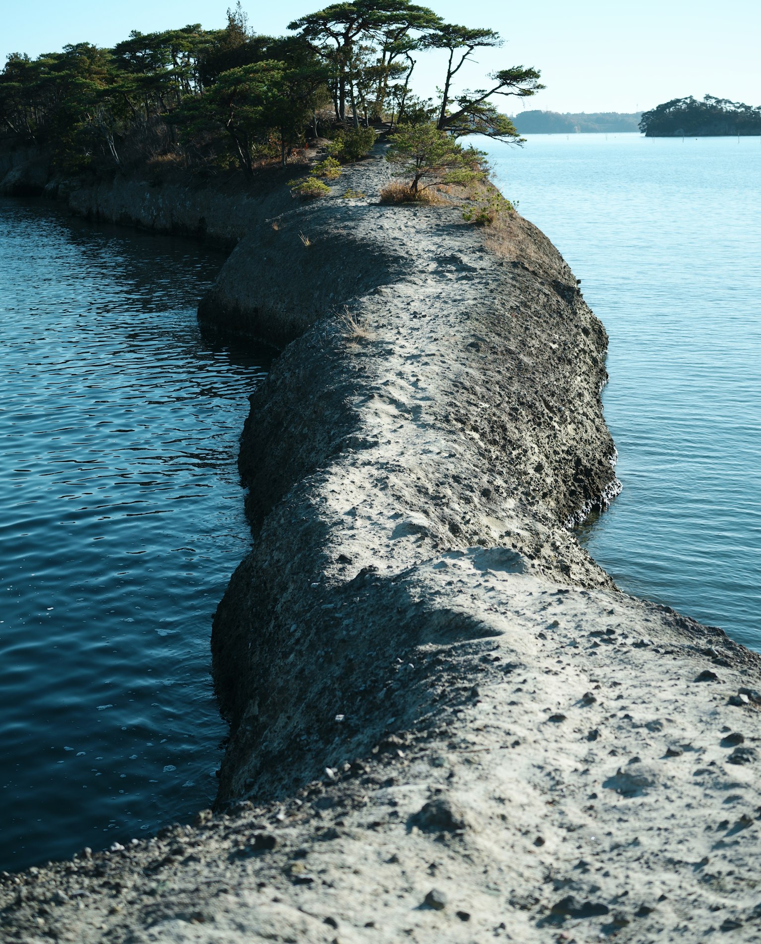 A sandy pathway leading through calm waters surrounded by trees