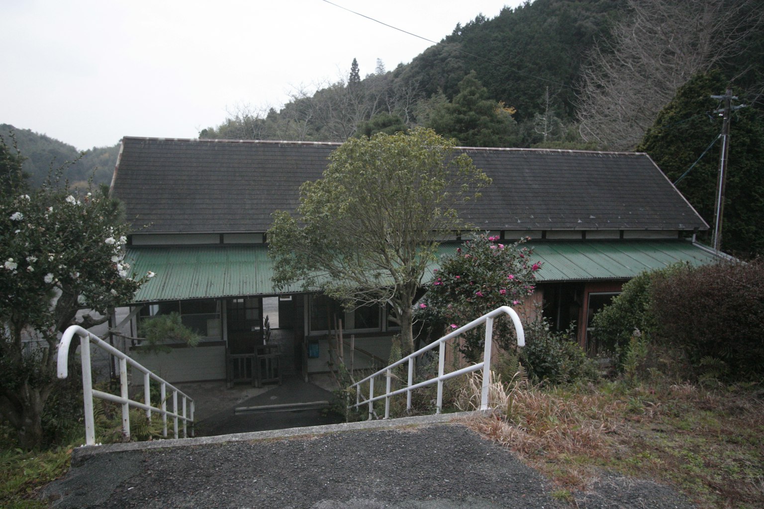 古老房屋与绿色屋顶被自然环绕