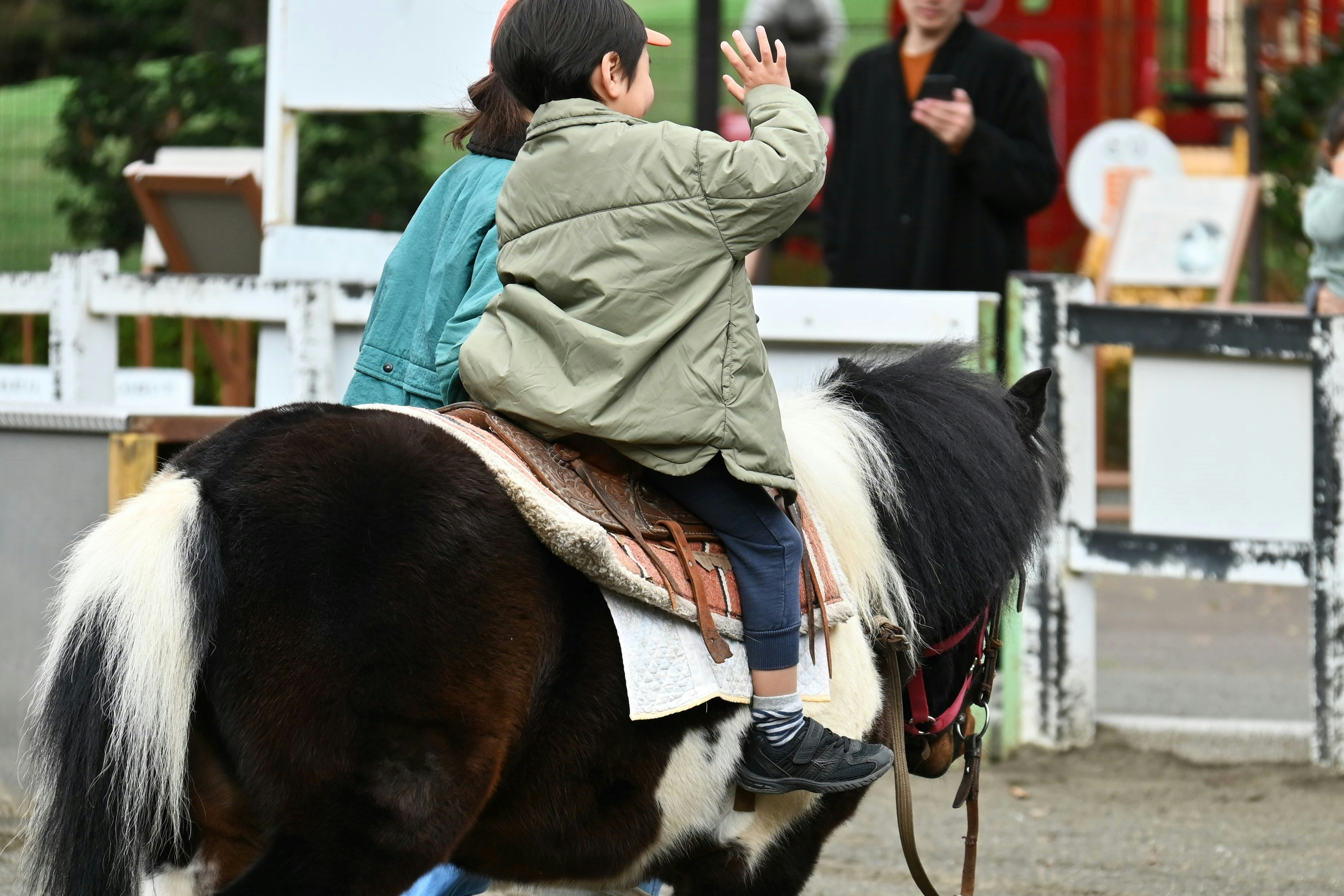 pony riding experience