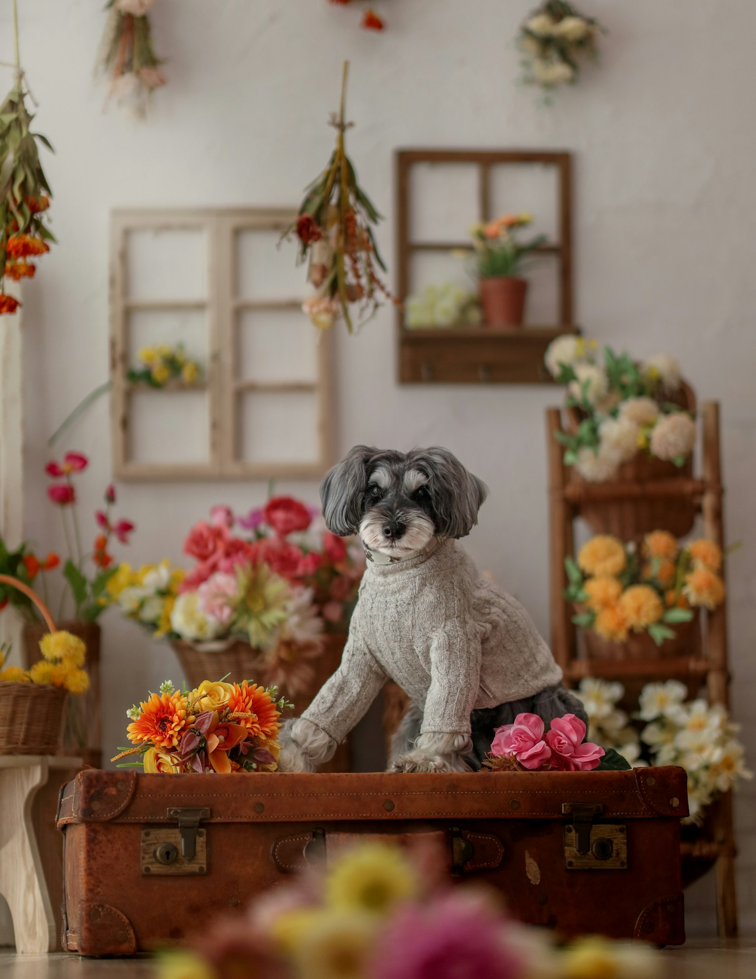 Ein süßer Hund umgeben von Blumen, der auf einer Holzkiste sitzt