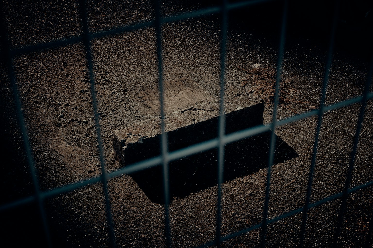 photo-4cwPPLHPs8C13EtzxWa7-image
