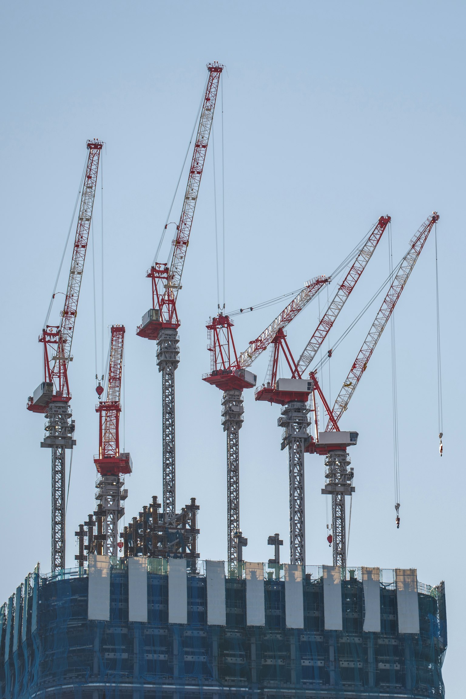 A cluster of cranes atop a building under construction