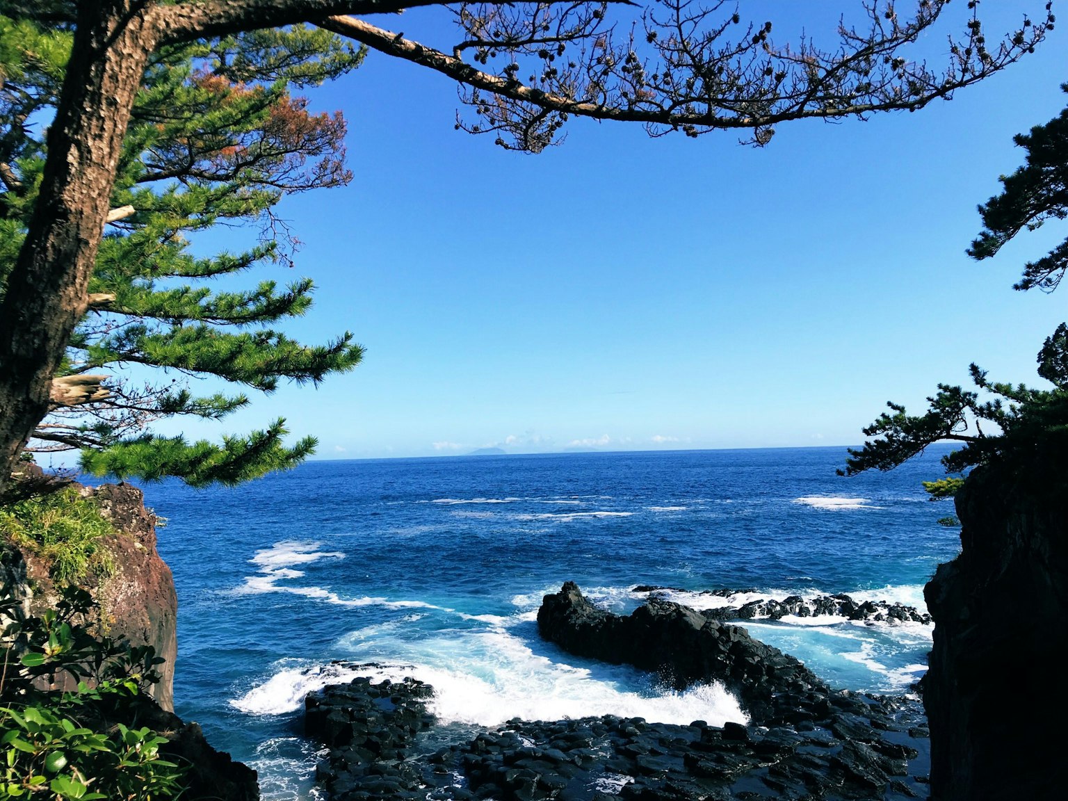 Scenic view of blue ocean and rocky shoreline framed by trees