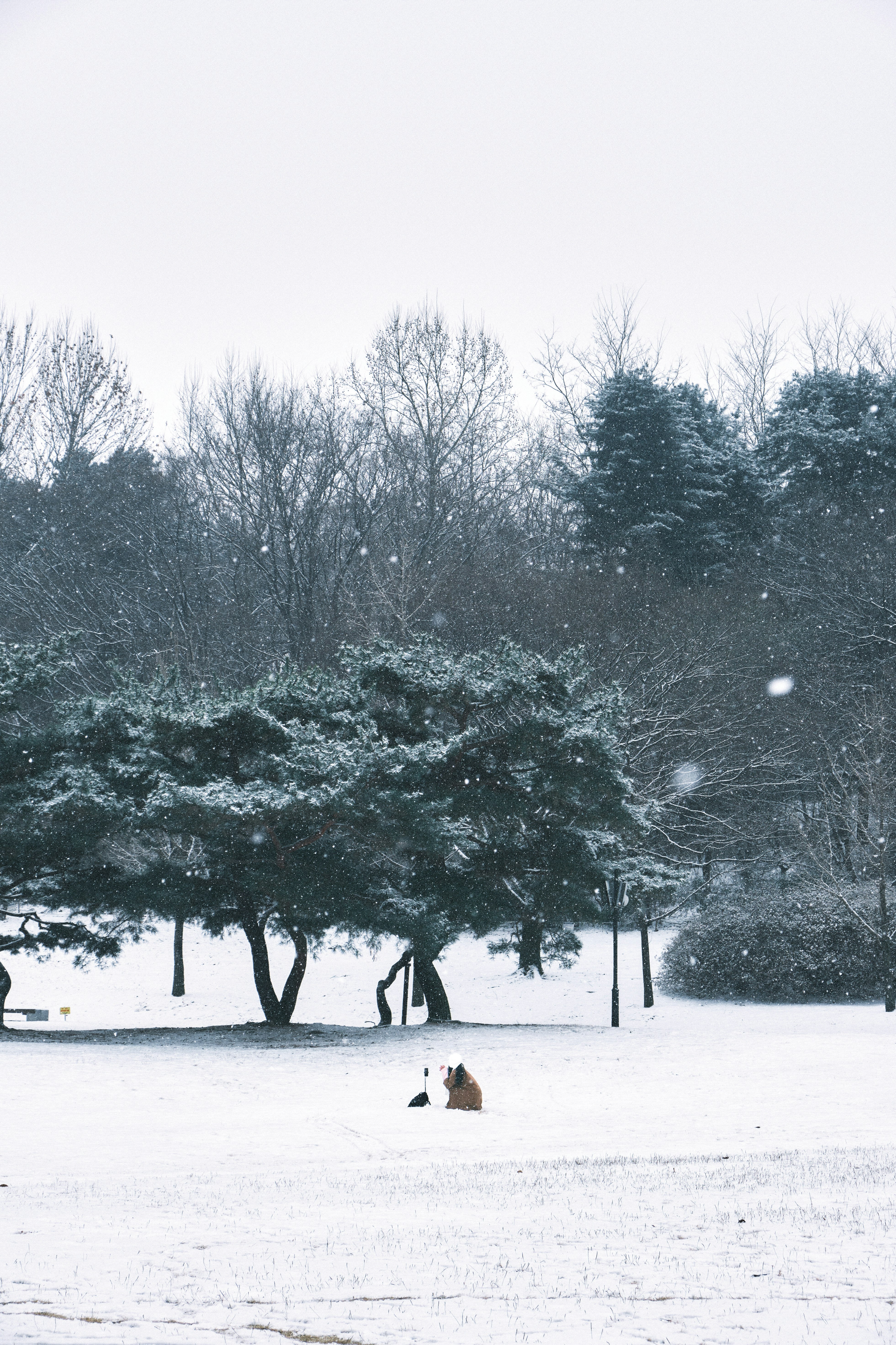 雪の降る公園の木々とベンチのある広場