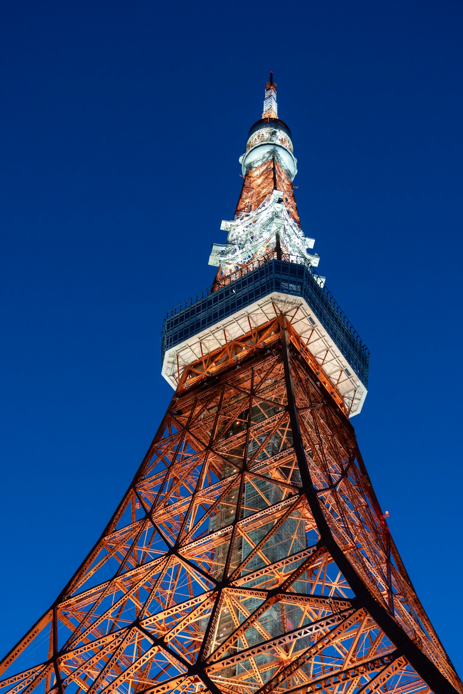 夜間照明的東京塔特寫展示其複雜結構