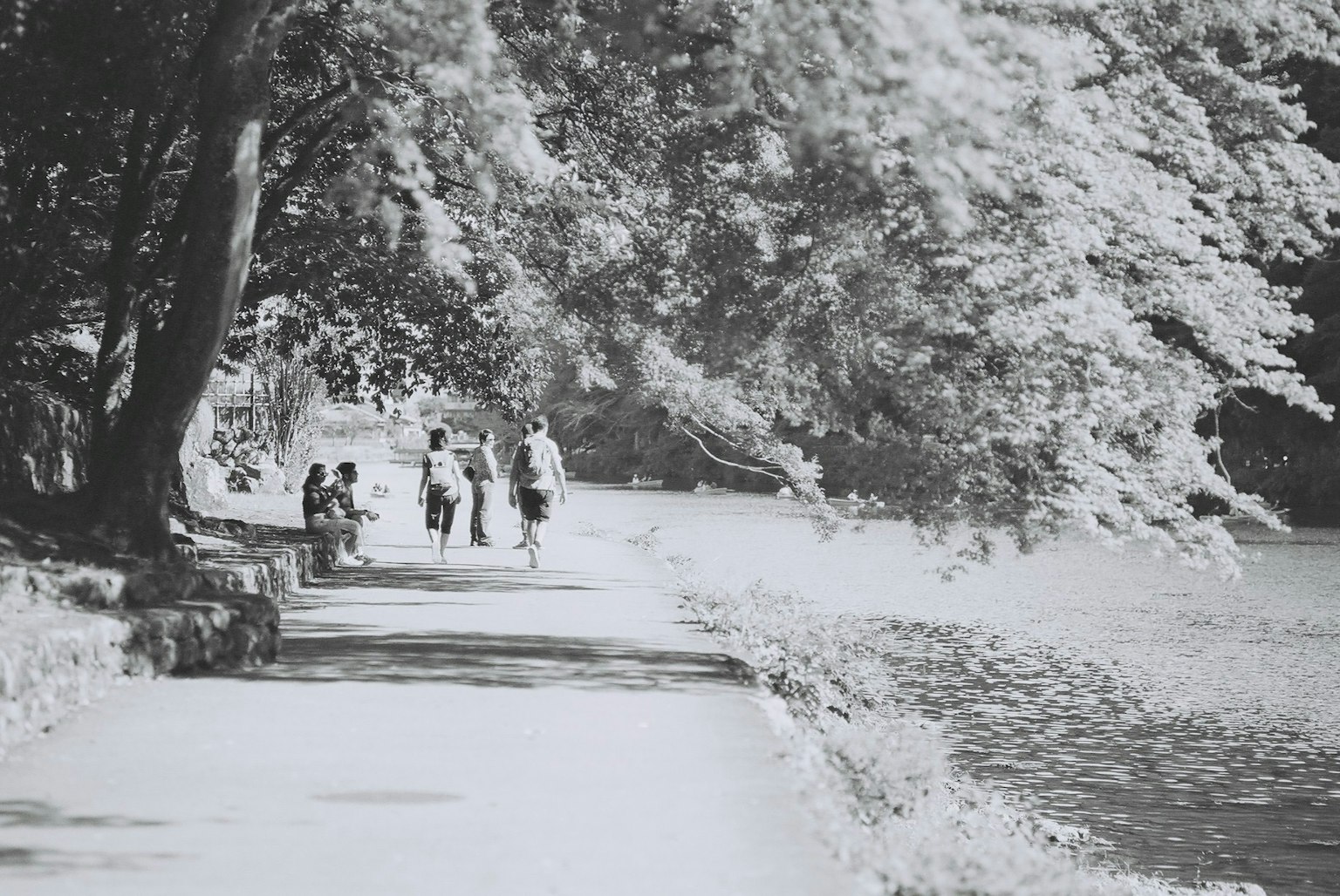 Black and white photo of people walking along a tree-lined path