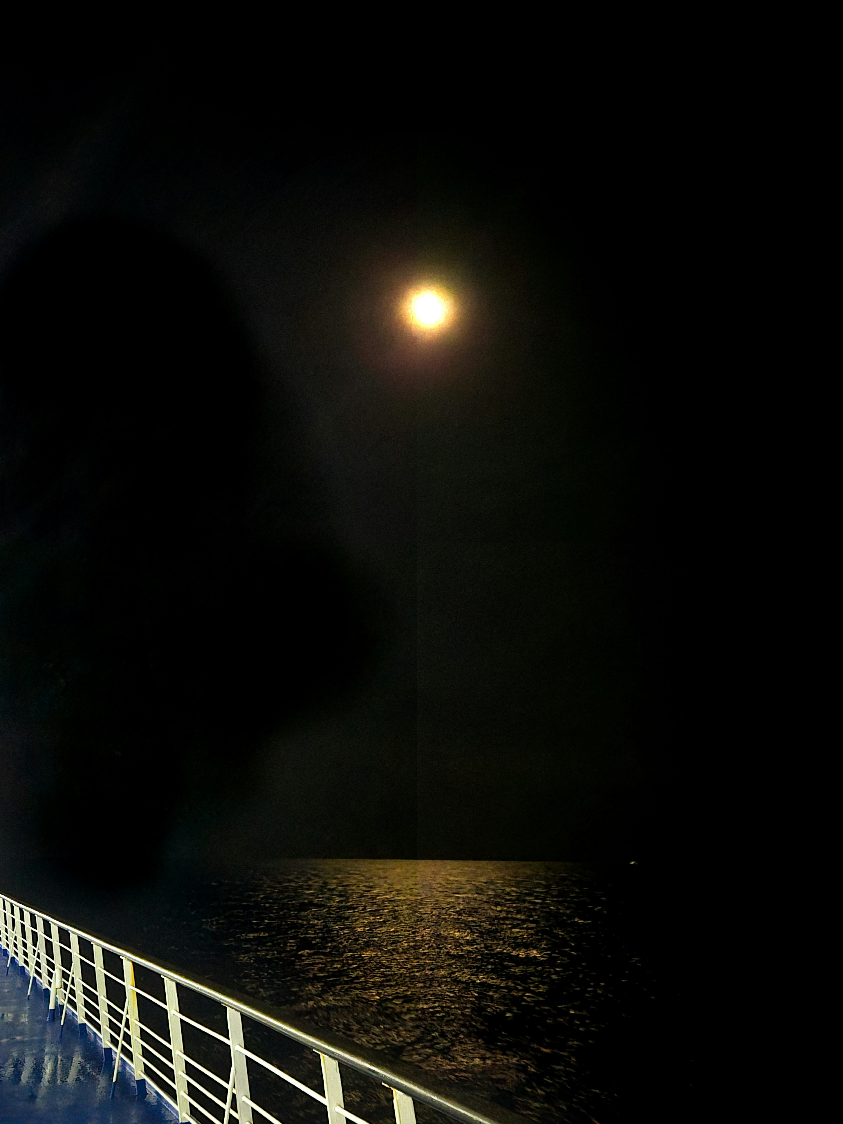 夜の水辺に伸びる白い手すりの遊歩道