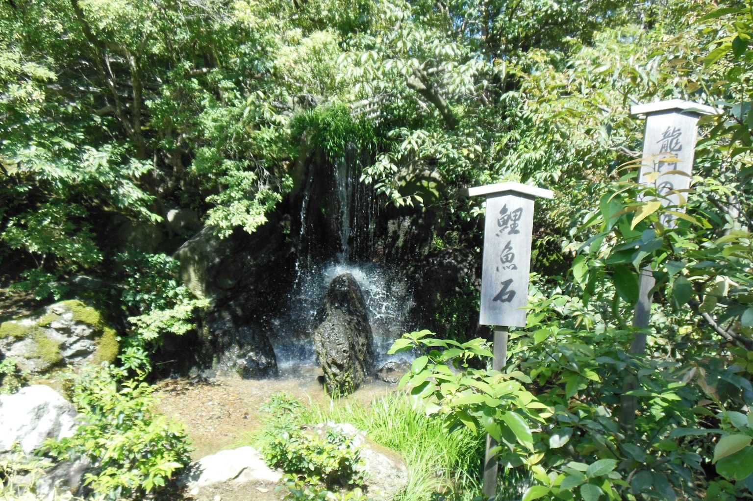 Petite cascade entourée d'une végétation luxuriante et de marqueurs en pierre