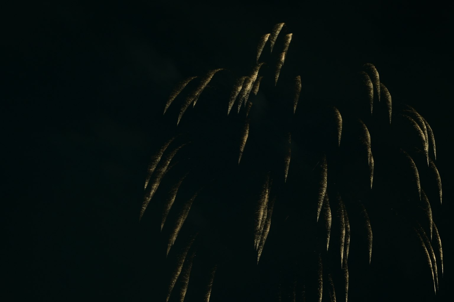 Golden fireworks bursting against a dark background