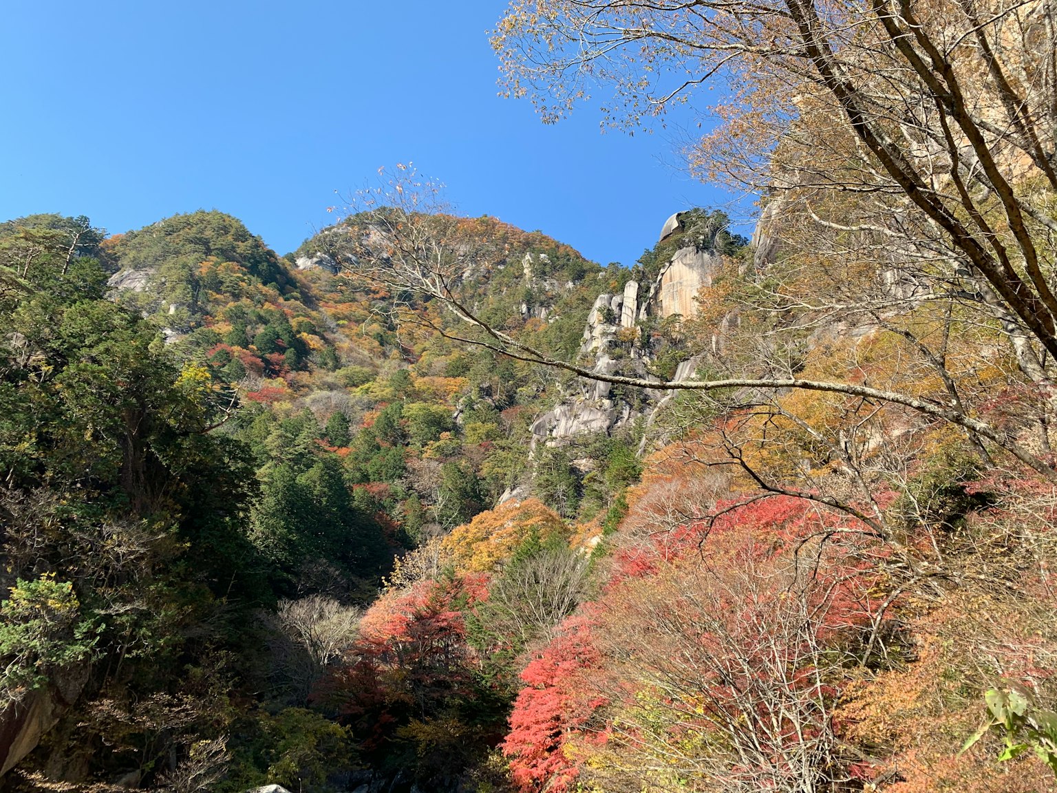 ภูเขาฤดูใบไม้ร่วงที่สวยงามใต้ท้องฟ้าสีฟ้าพร้อมใบไม้หลากสี