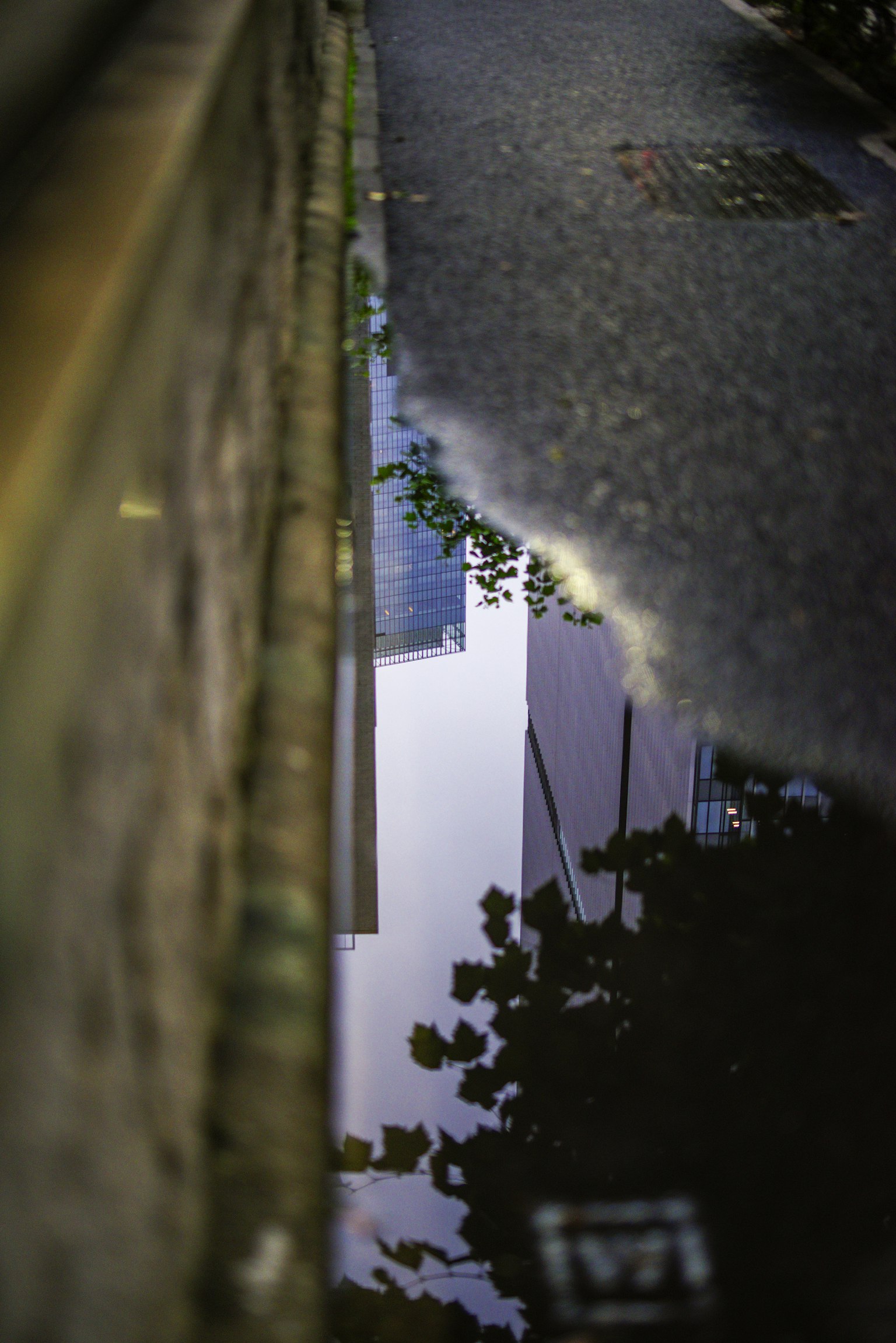 Alley with a puddle reflecting buildings and tree shadows