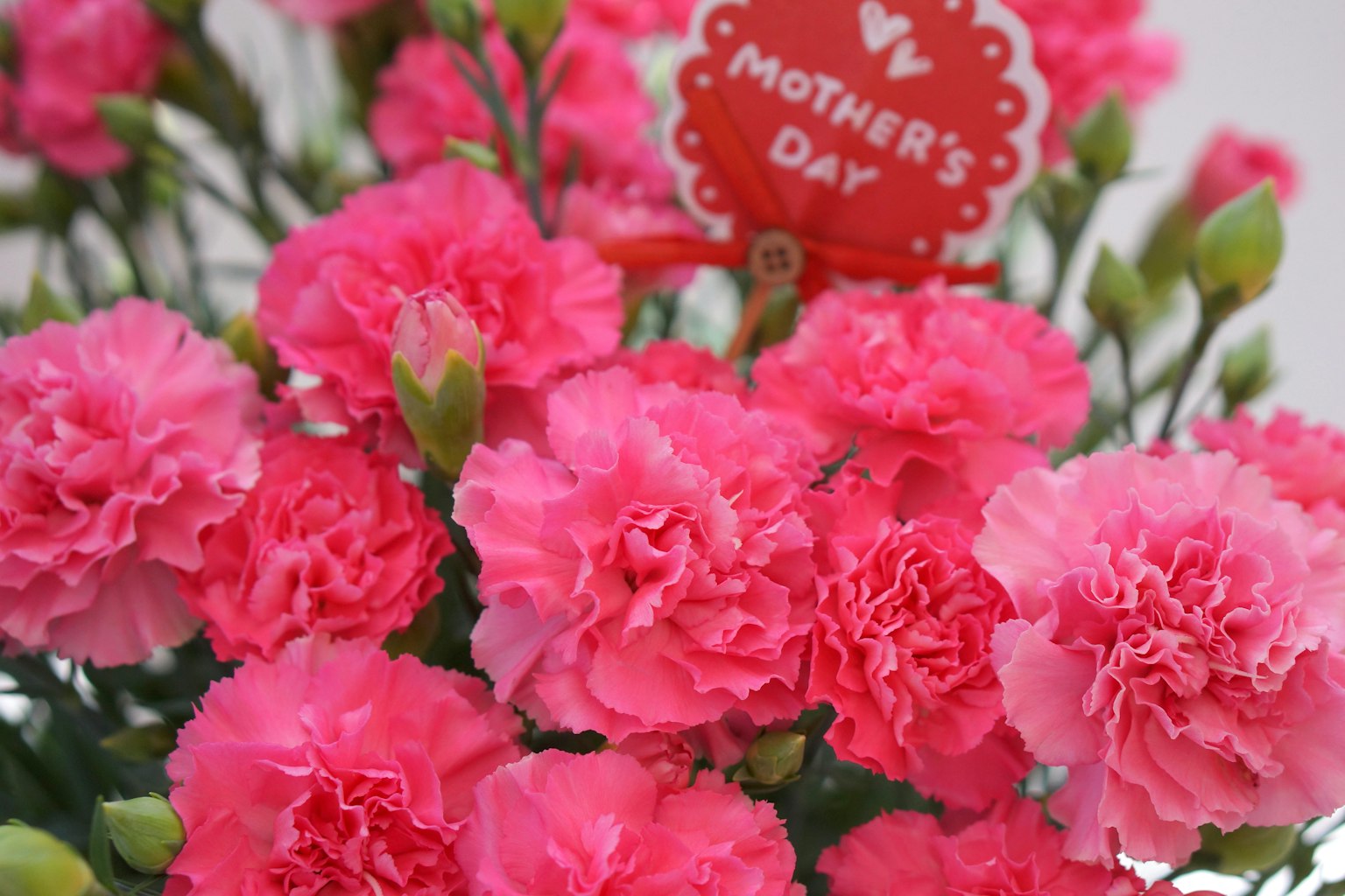 Ramo de claveles rosas con una tarjeta del Día de la Madre