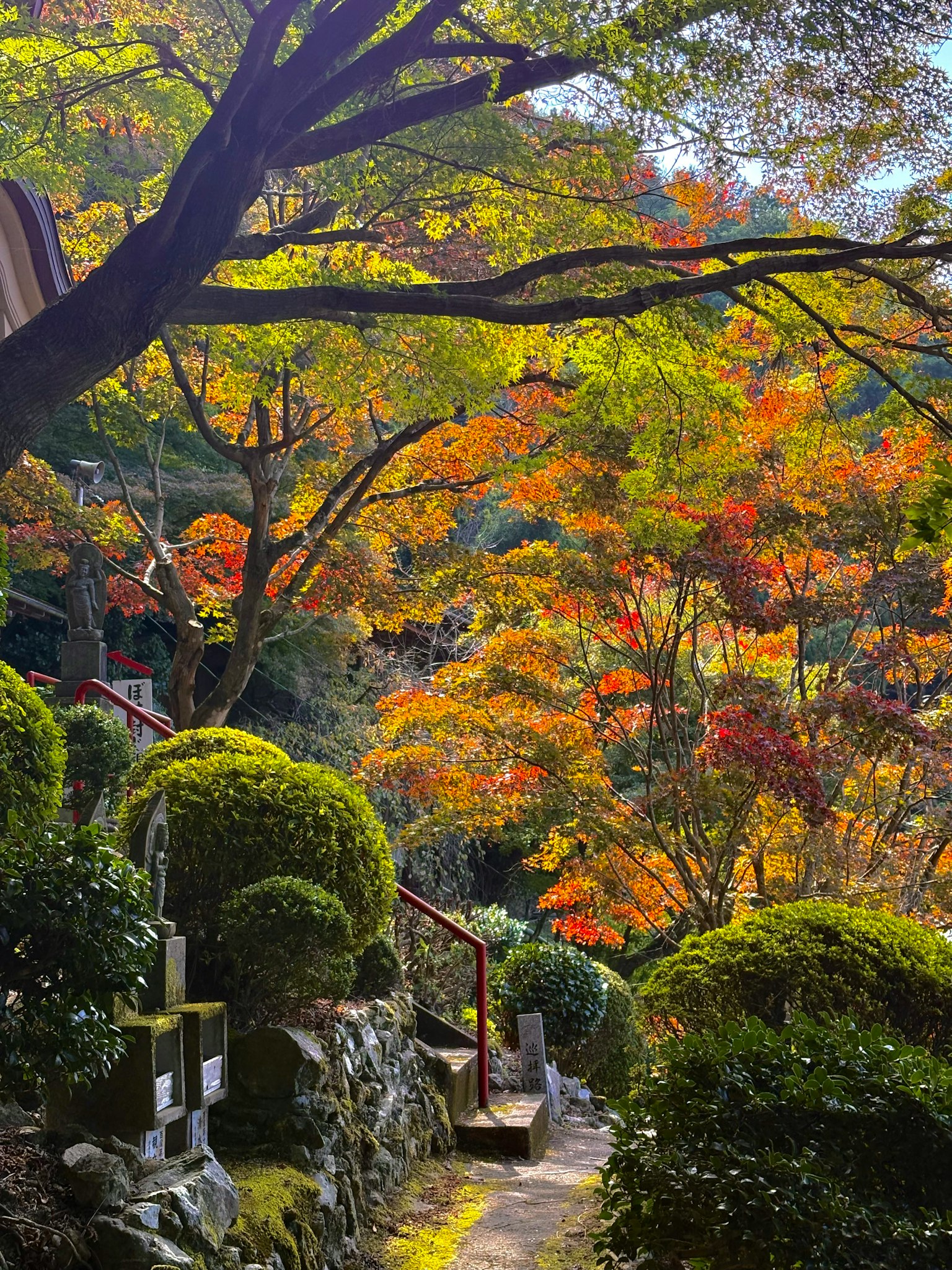 秋の紅葉に囲まれた静かな小道と緑の庭