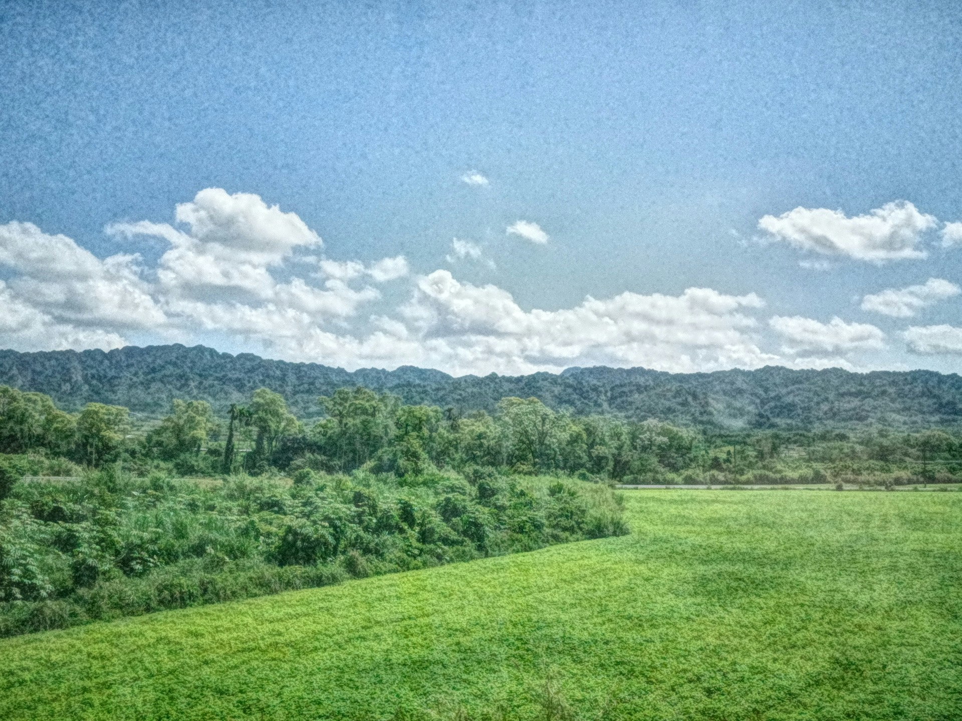 台湾の緑の丘と田園風景、遠くに山並み