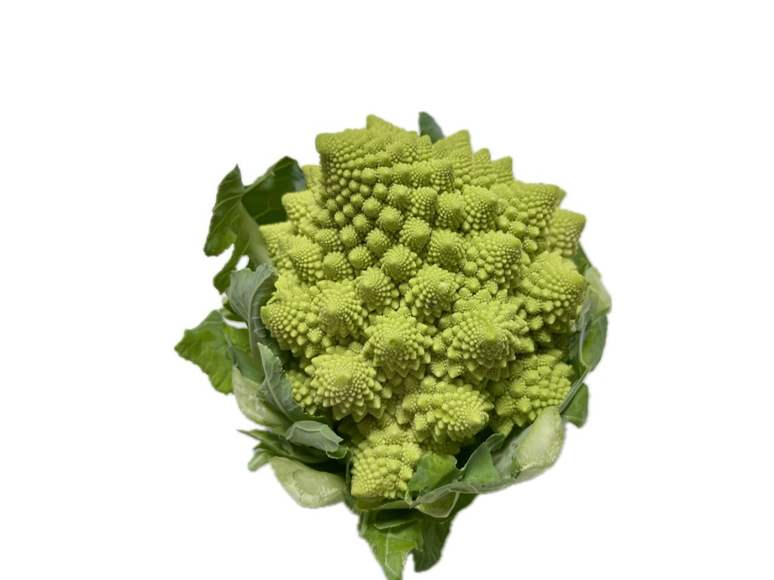 生动绿色的罗马花椰菜和叶子