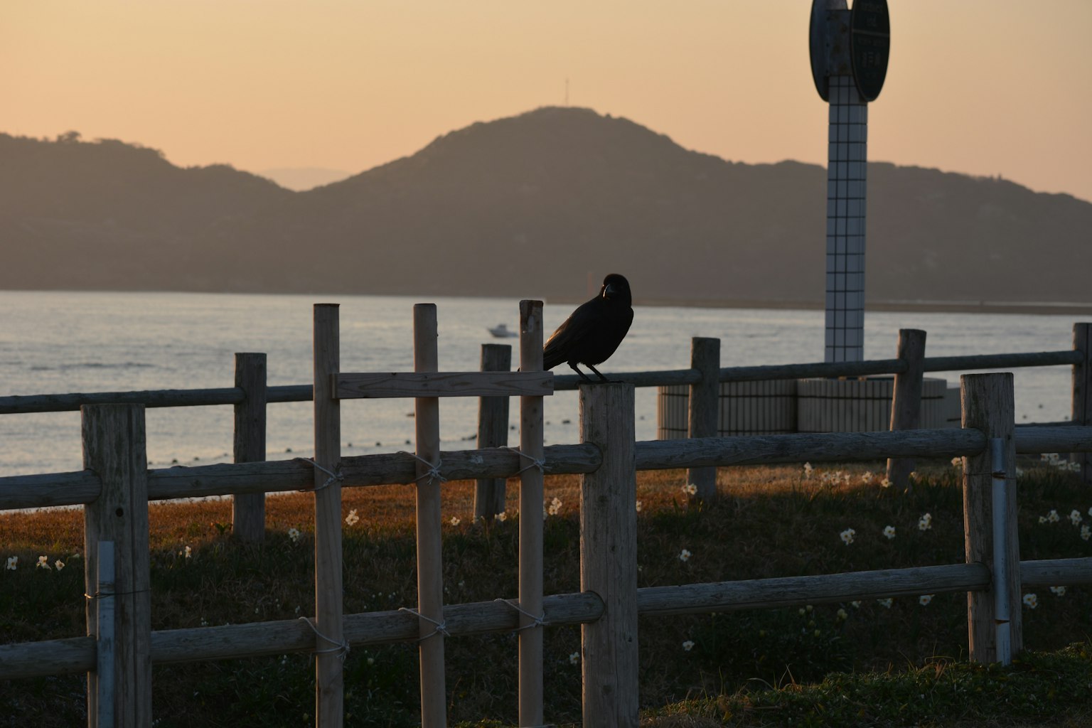Oiseau perché sur une clôture au coucher du soleil près de la mer avec des silhouettes de montagnes