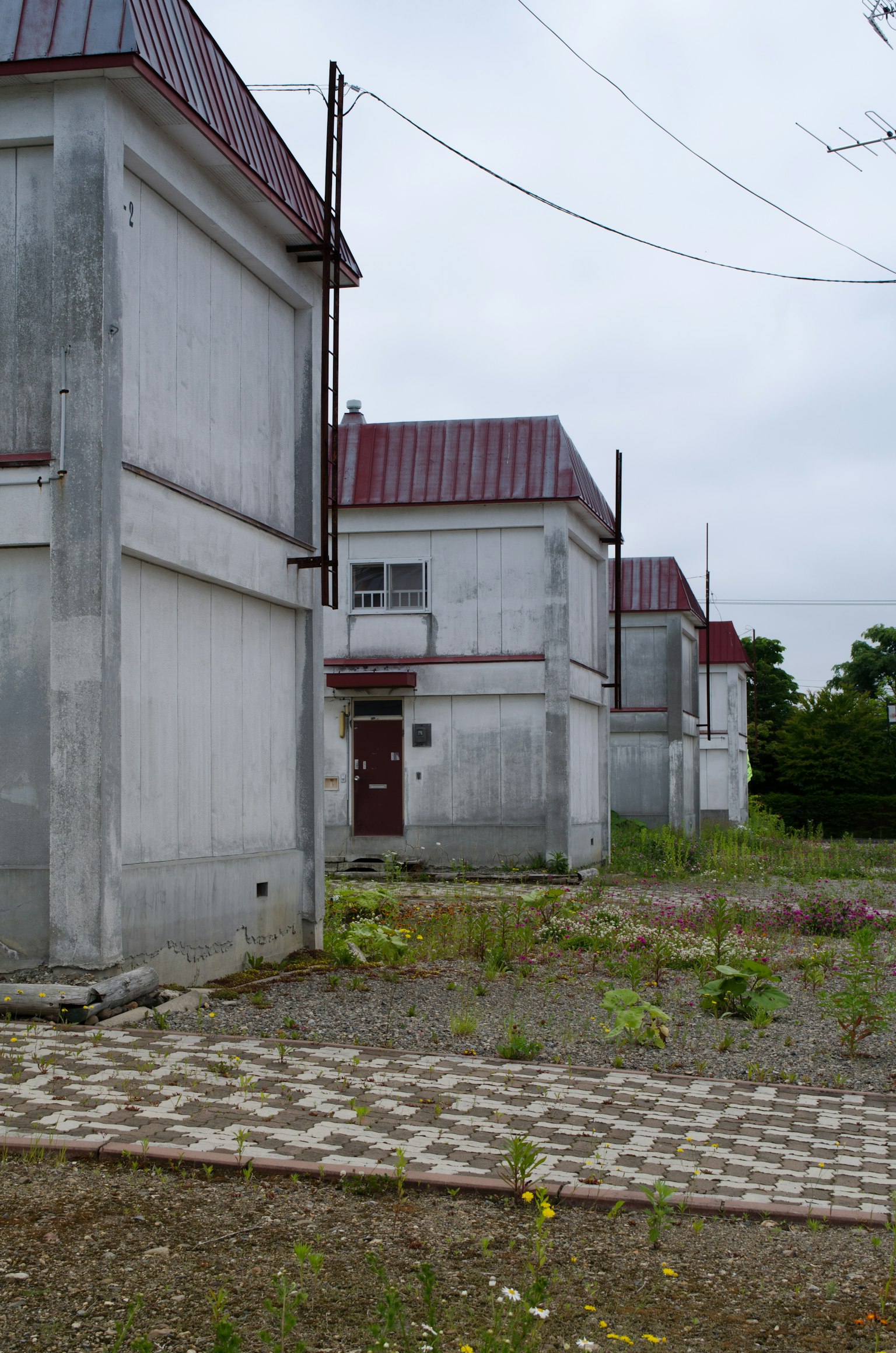 Abandoned concrete houses lined up in a desolate landscape