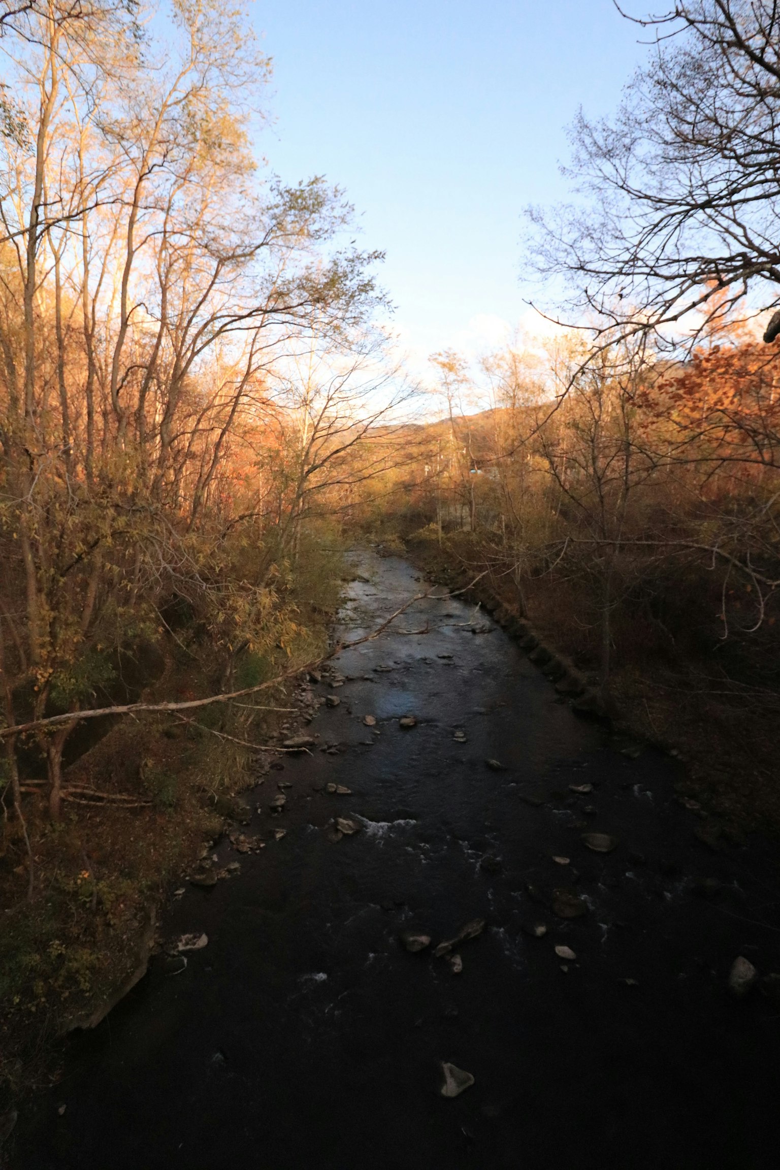 Autumn landscape featuring a river and silhouetted trees