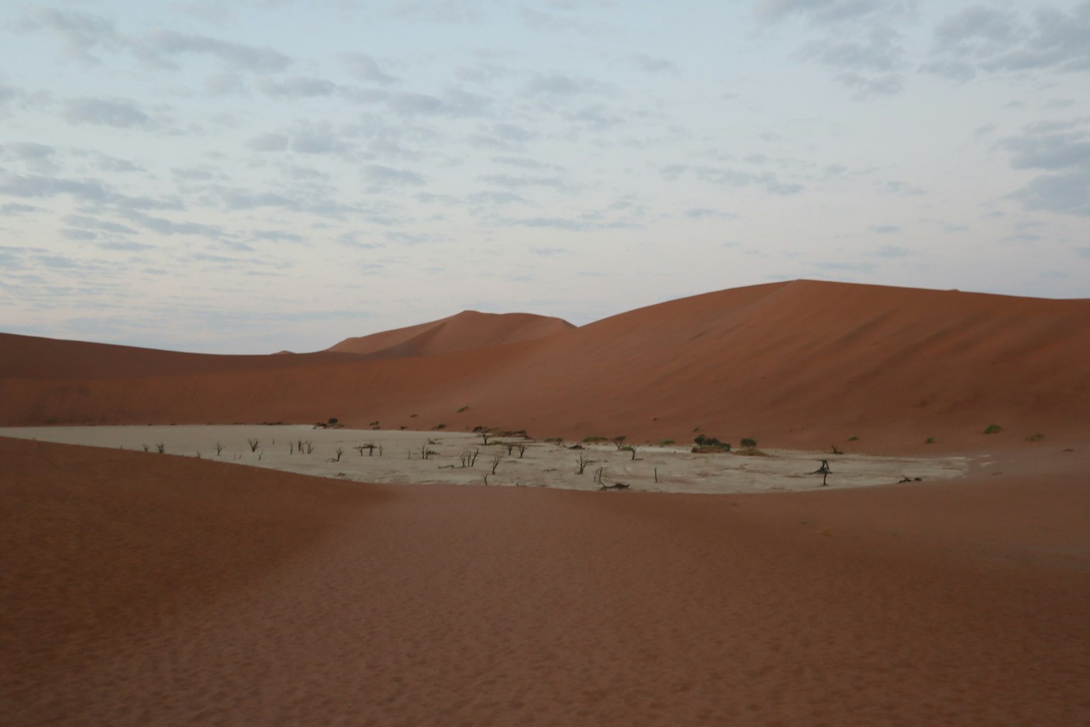 Dunes de sable vastes avec un paysage sec sous un ciel nuageux