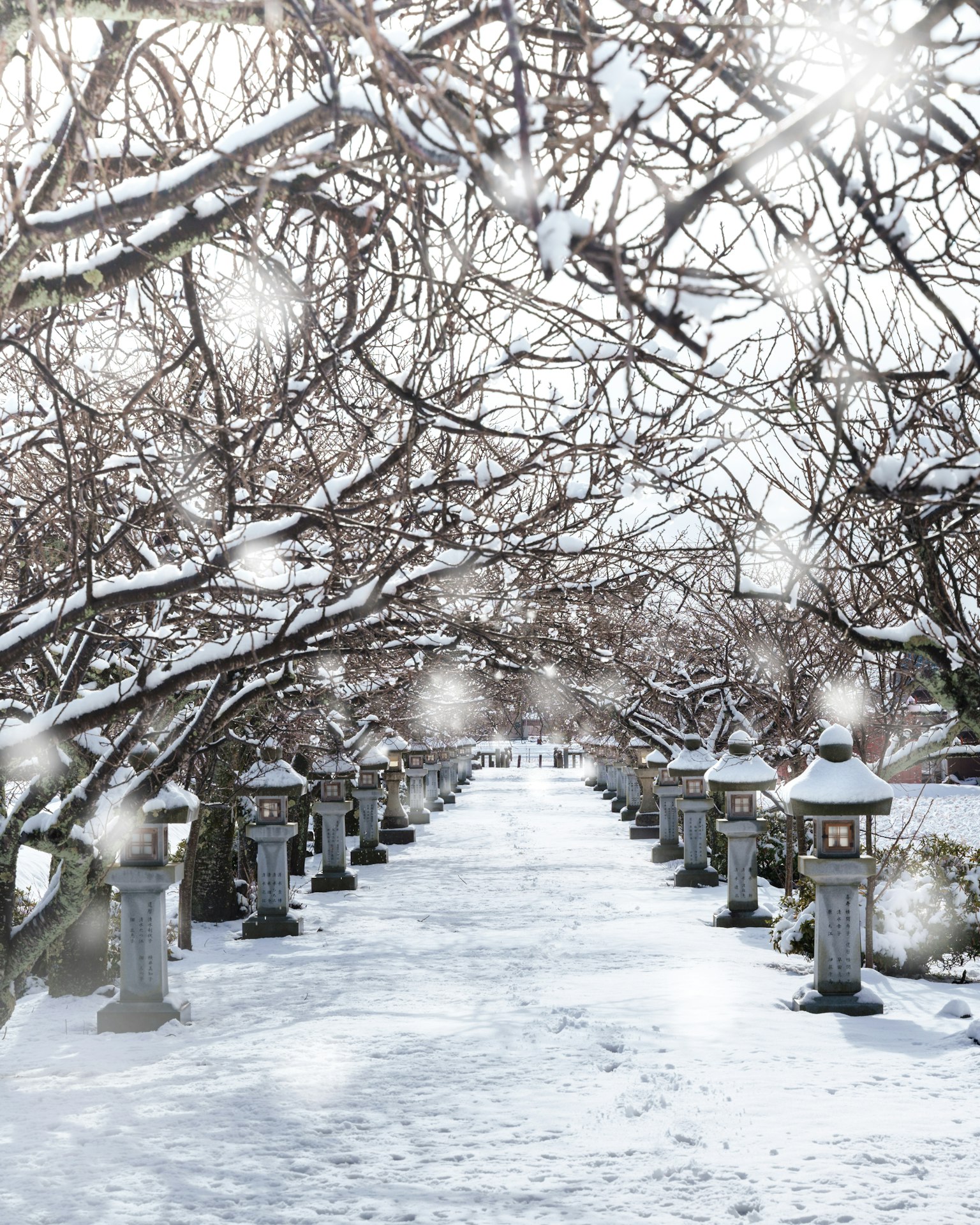 Snow-covered path with stone lanterns lining a winter scene