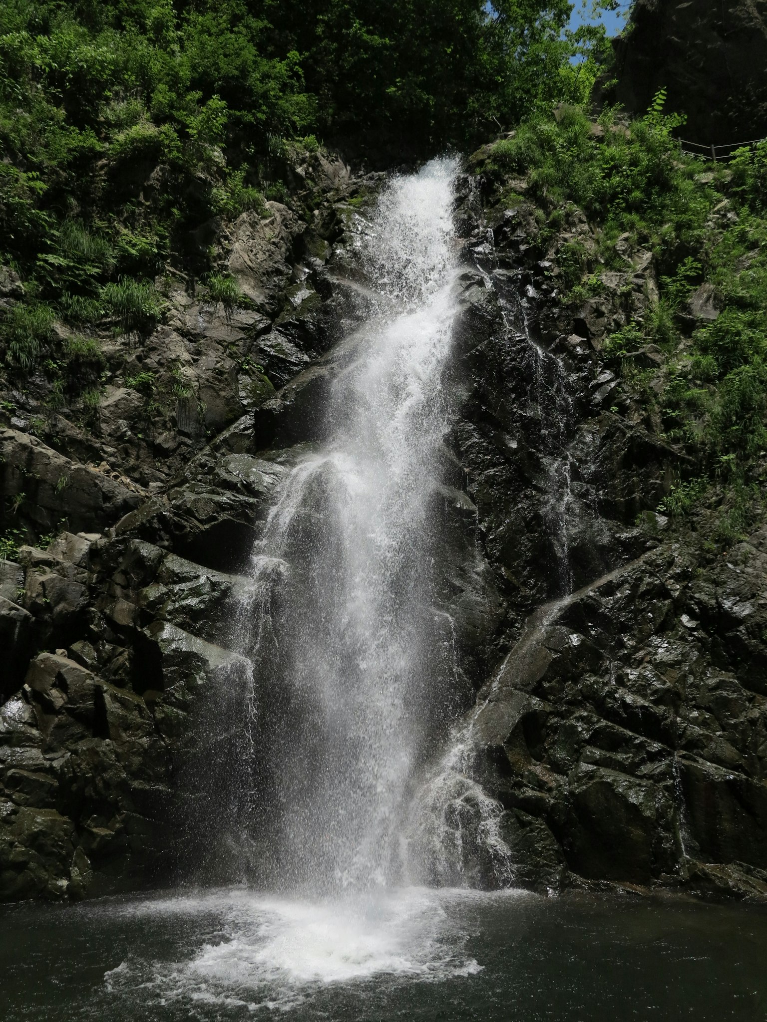 Ein schöner Wasserfall, der über Felsen fließt, umgeben von üppigem Grün