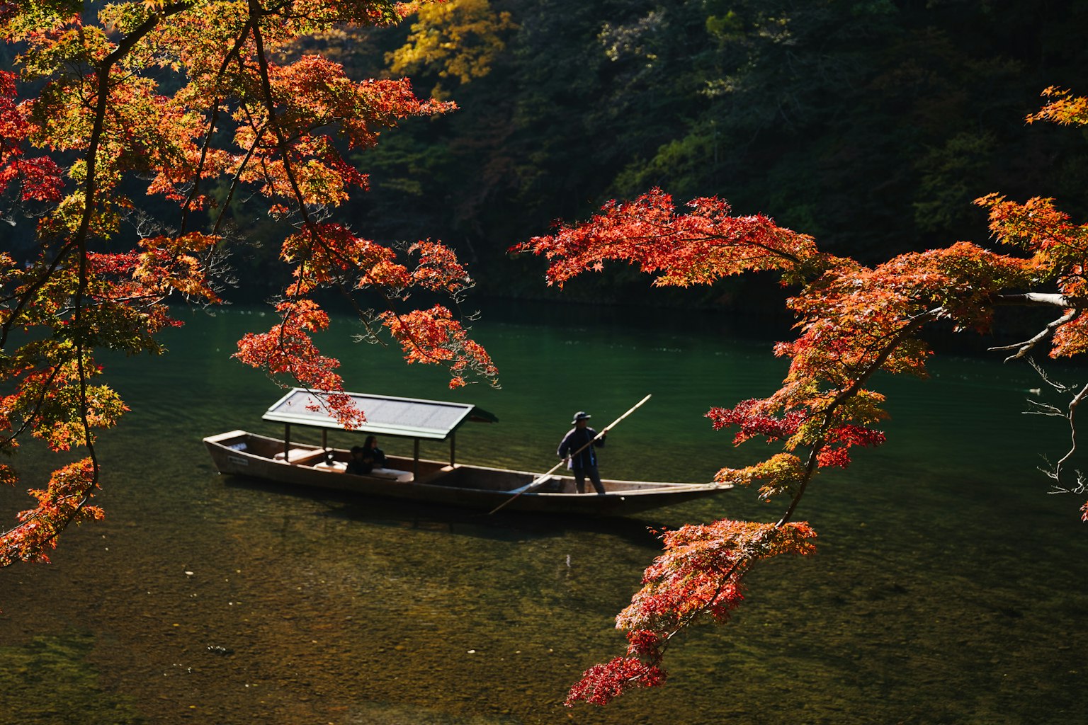 秋の紅葉に囲まれた川で舟を漕ぐ人
