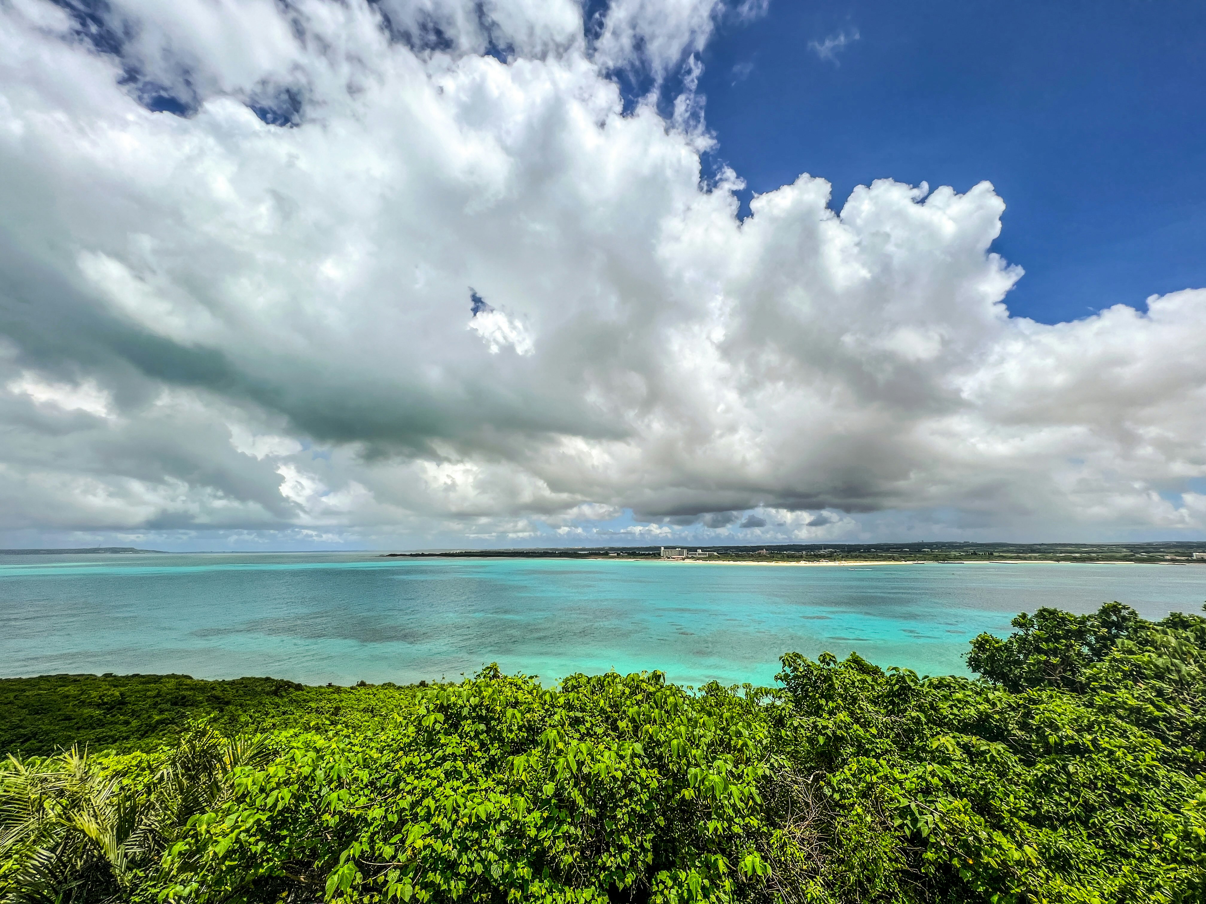 エメラルド色の海と青空、緑の茂みが広がる海岸の風景