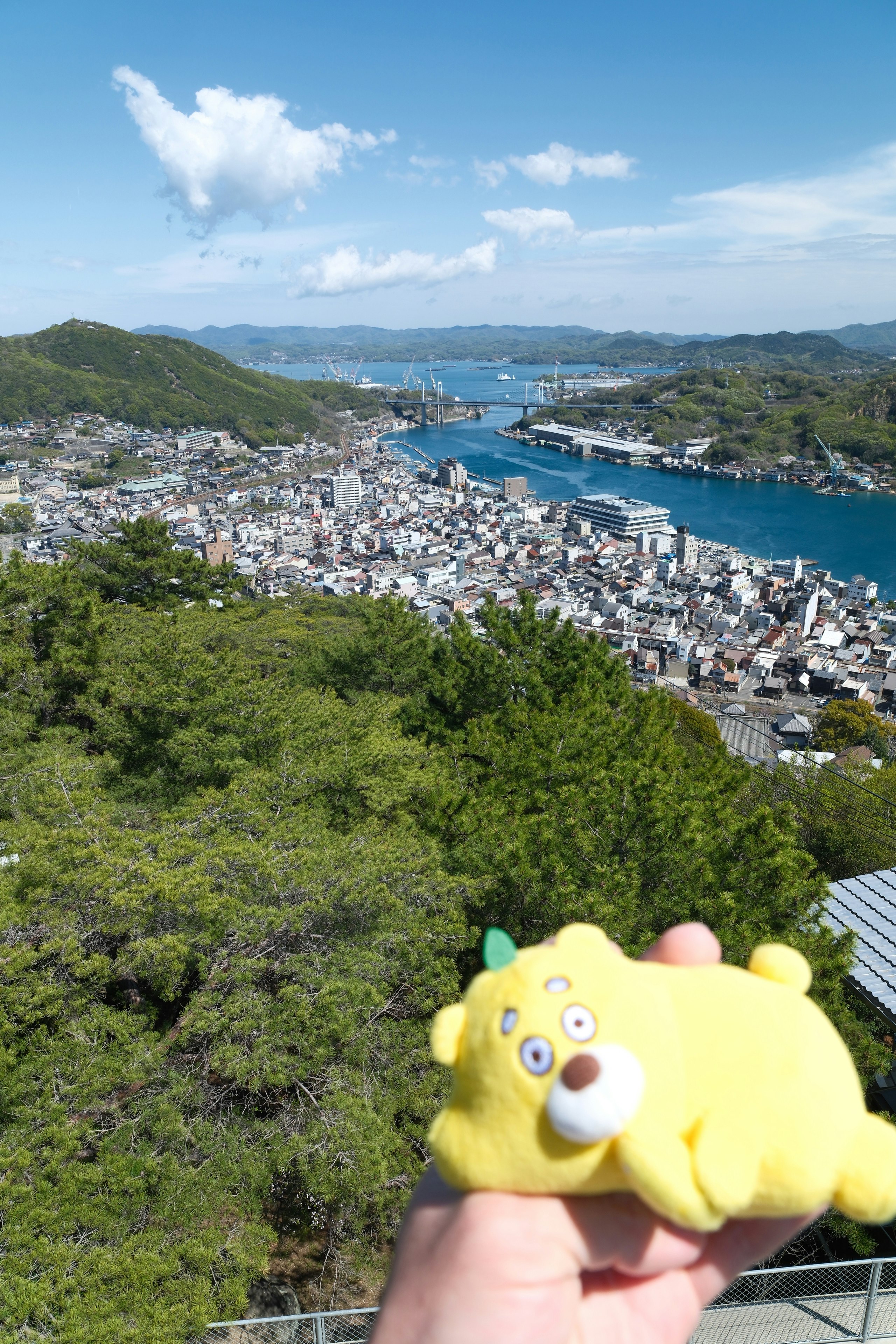 尾道市の千光寺公園から見下ろす瀬戸内海と街並みの眺望