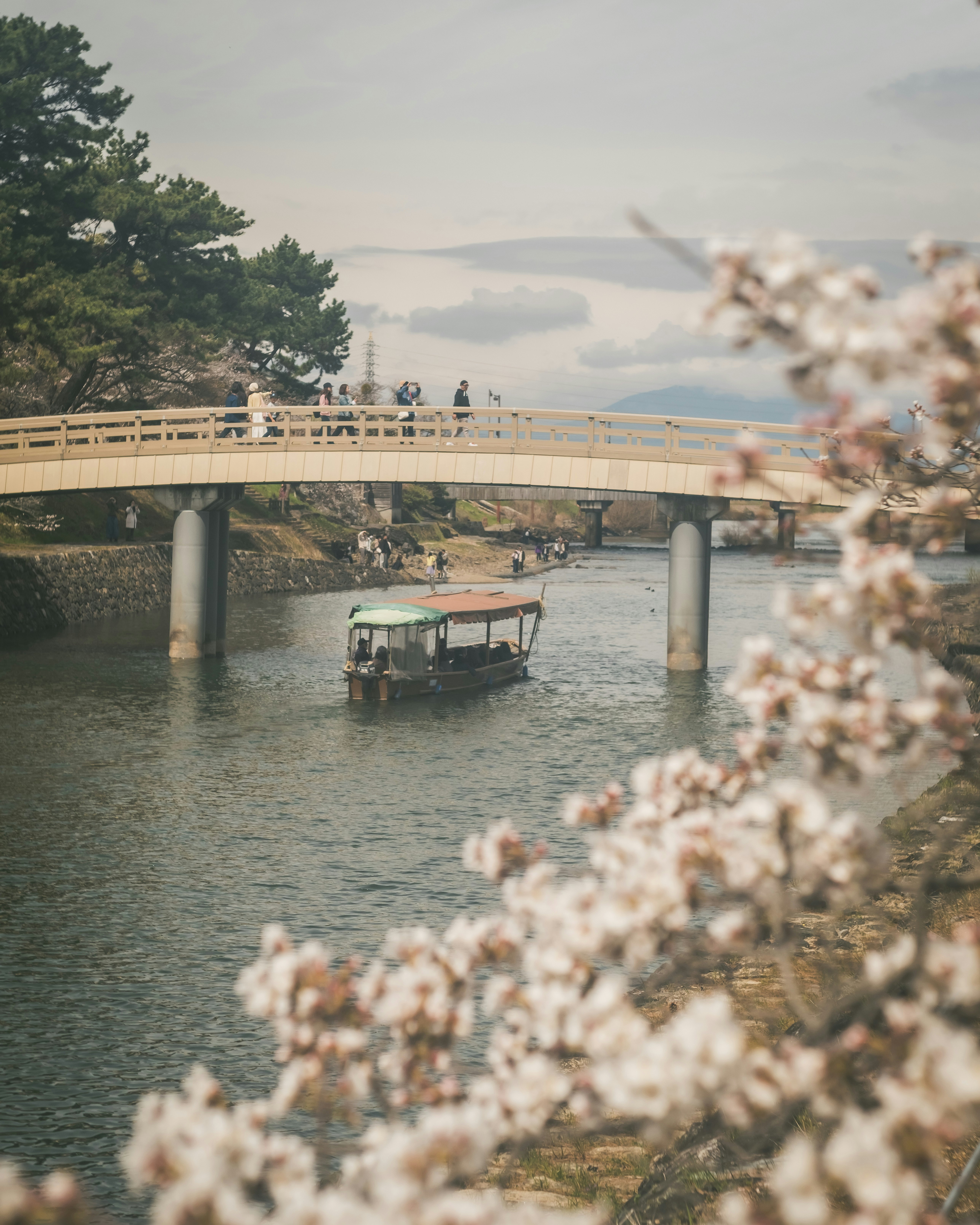 宇治の川に浮かぶ舟と木橋のある風景