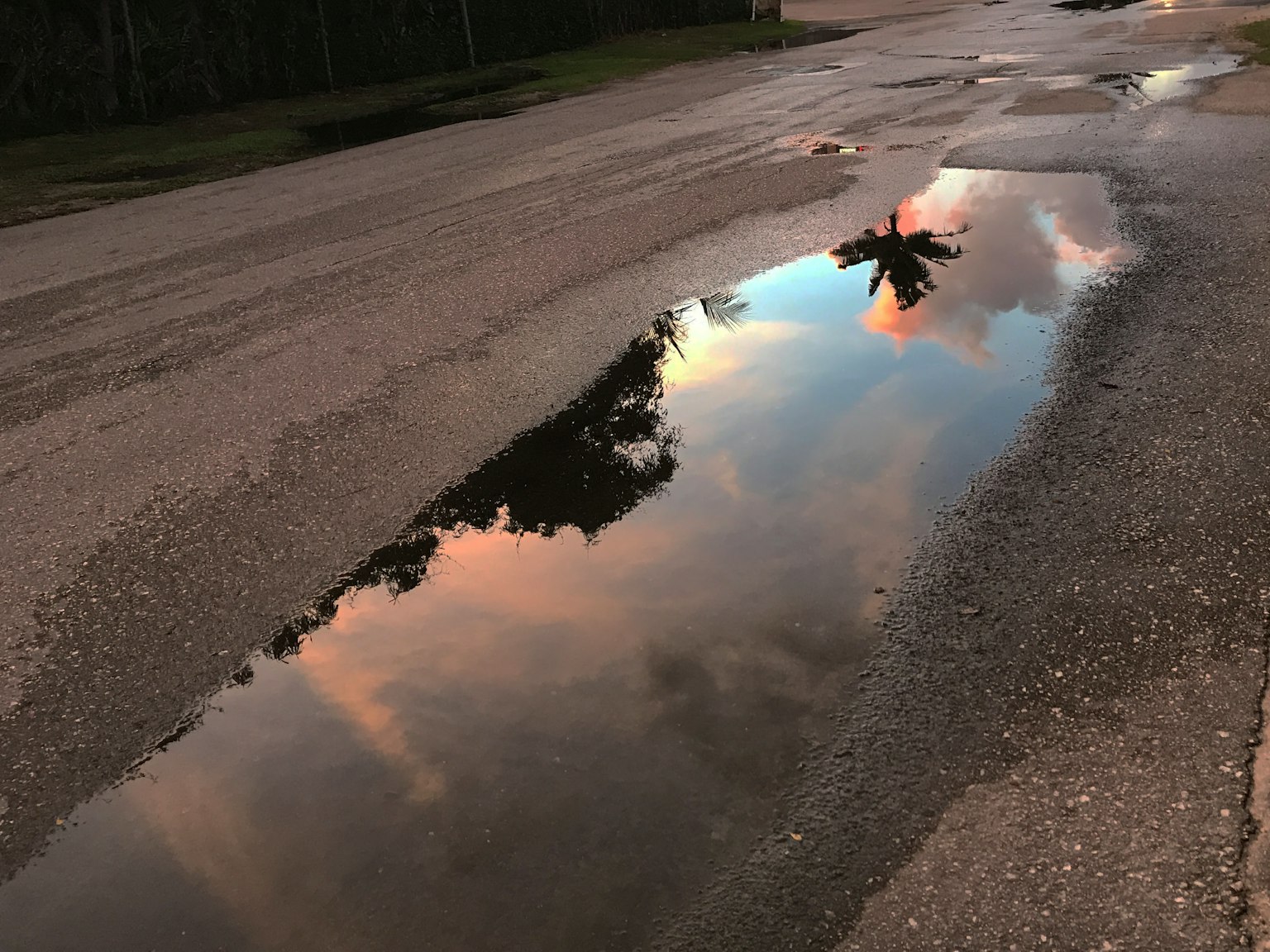 Reflejo del cielo al atardecer y árboles en un charco