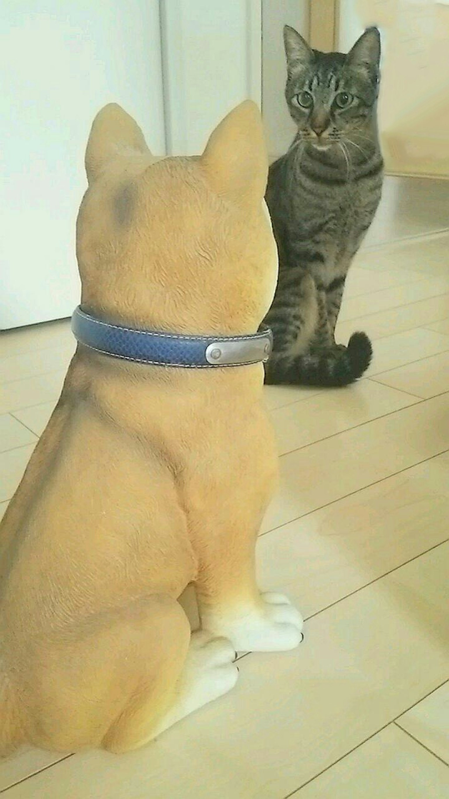 Un gatto che fissa una statua di cane