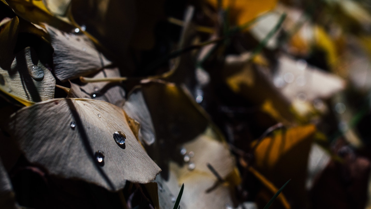 photo-4lwKcpVy8ZEyk7a5mrOu-image