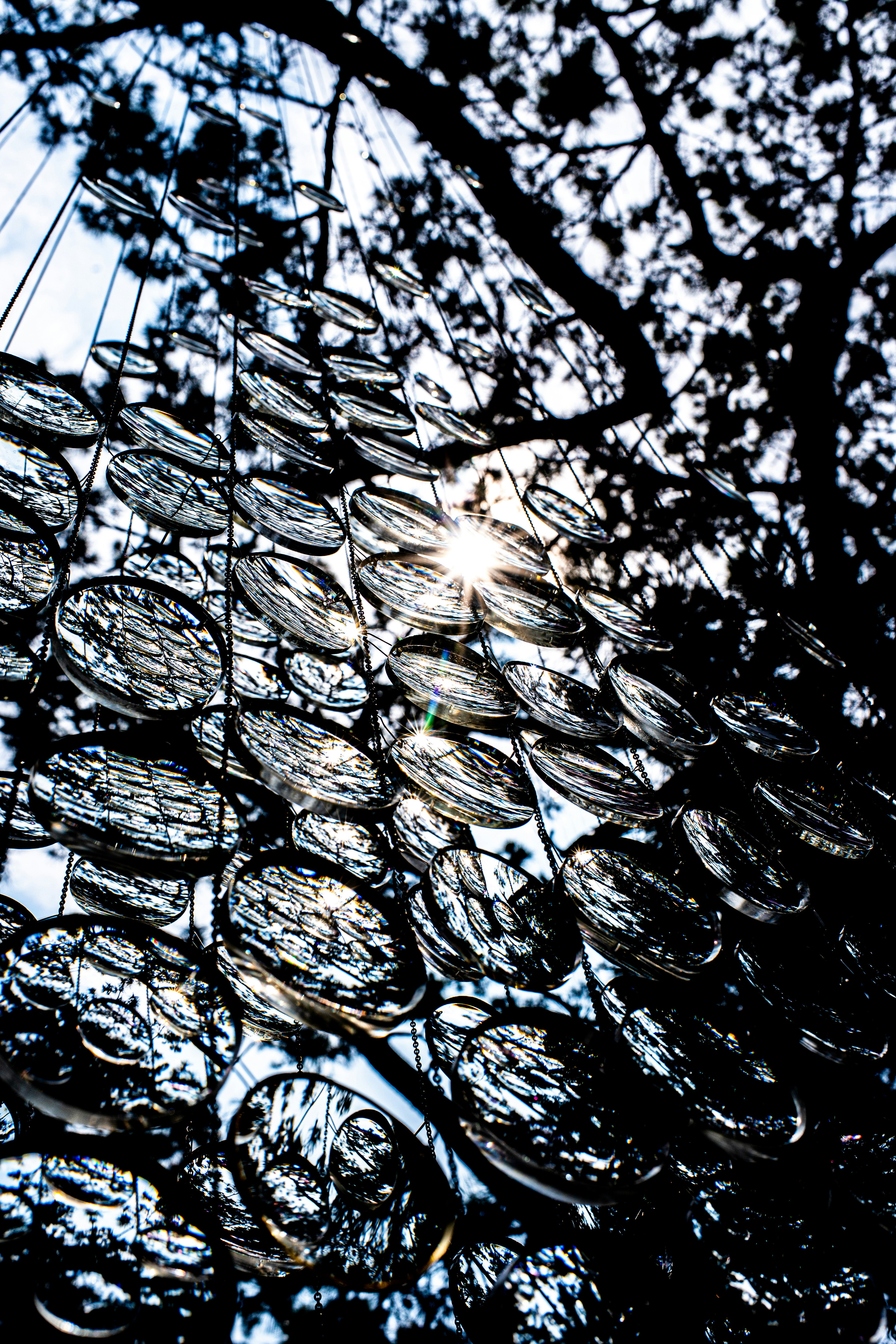 Reflets de lumière sur des branches avec une œuvre du Setouchi Triennale