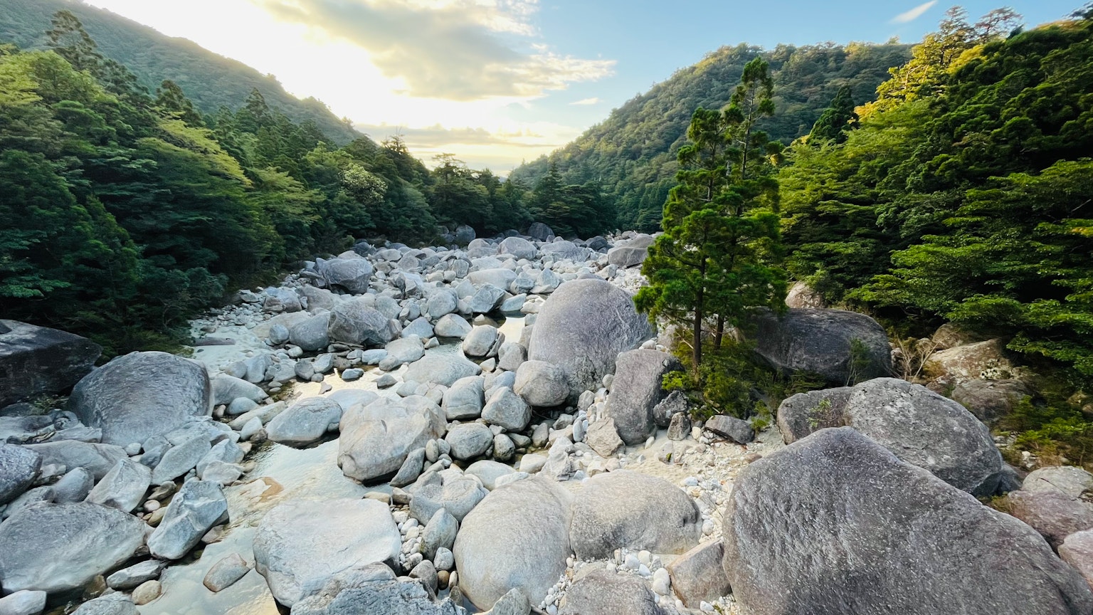 Un letto di fiume circondato da montagne lussureggianti e grandi massi