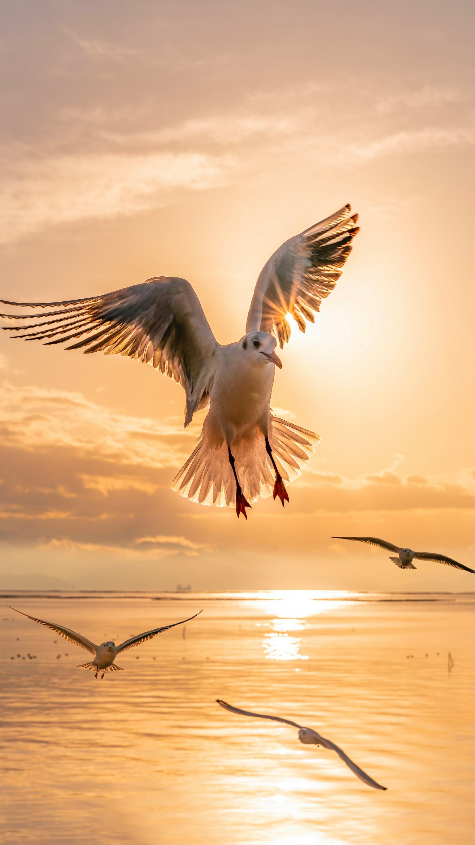 photo-4nQCaBPnX8pkDt5xbYiS-image