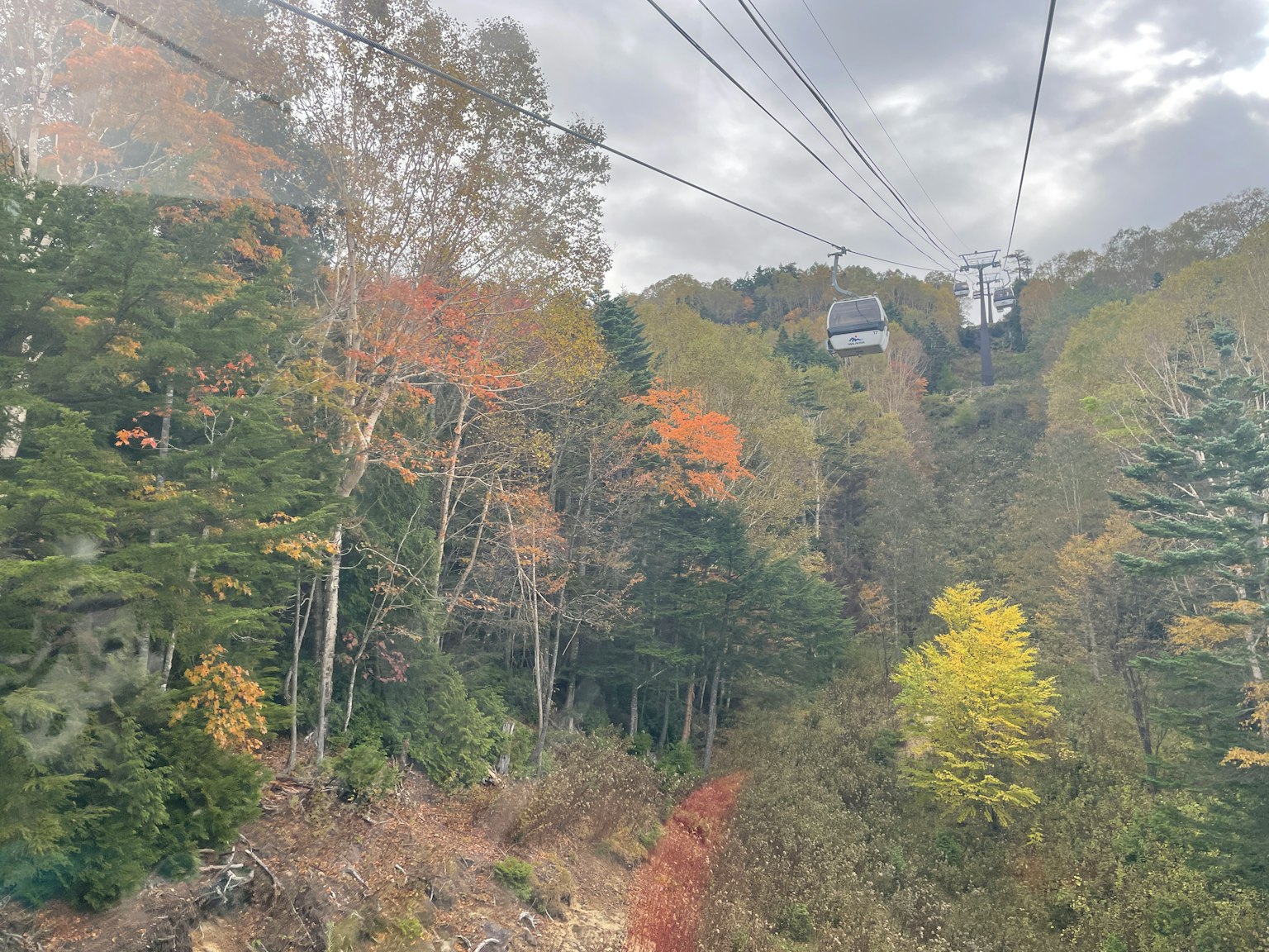 Vista panoramica di fogliame autunnale e funivie