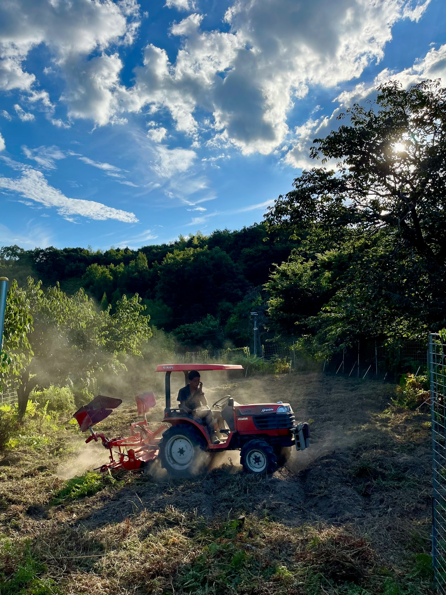Traktor merah bekerja di ladang di bawah langit biru dengan awan pohon hijau di latar belakang