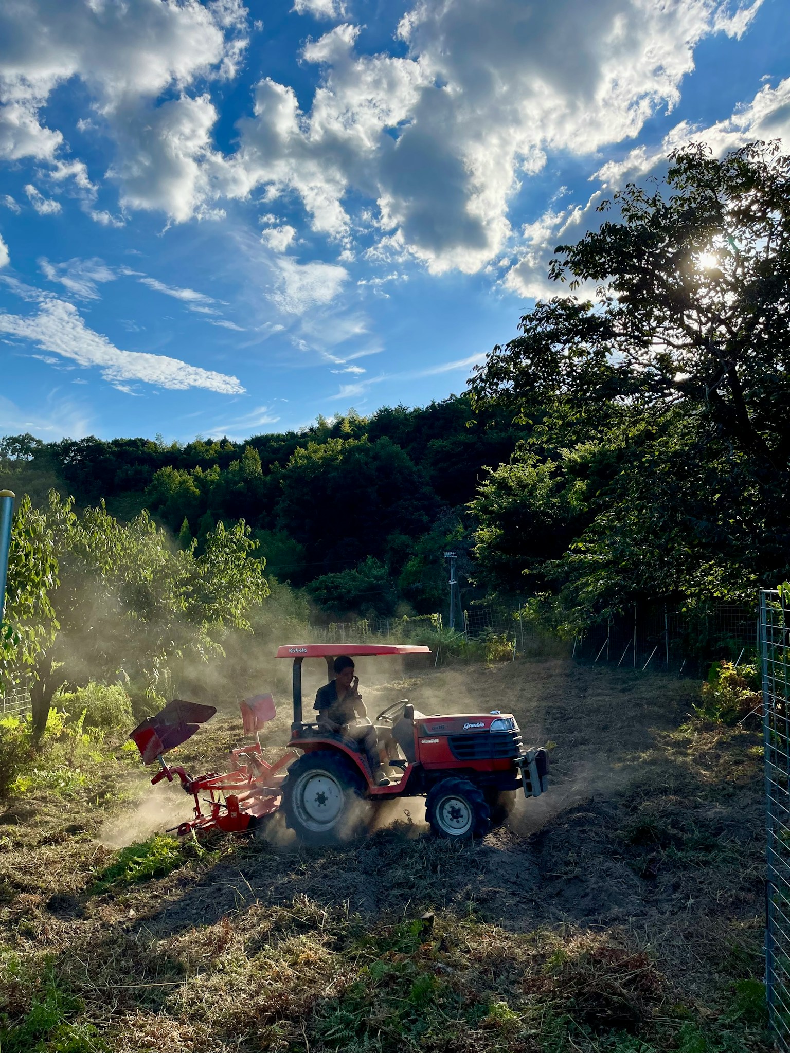 photo-4nxji5ySm0hOraLKSYs4-image