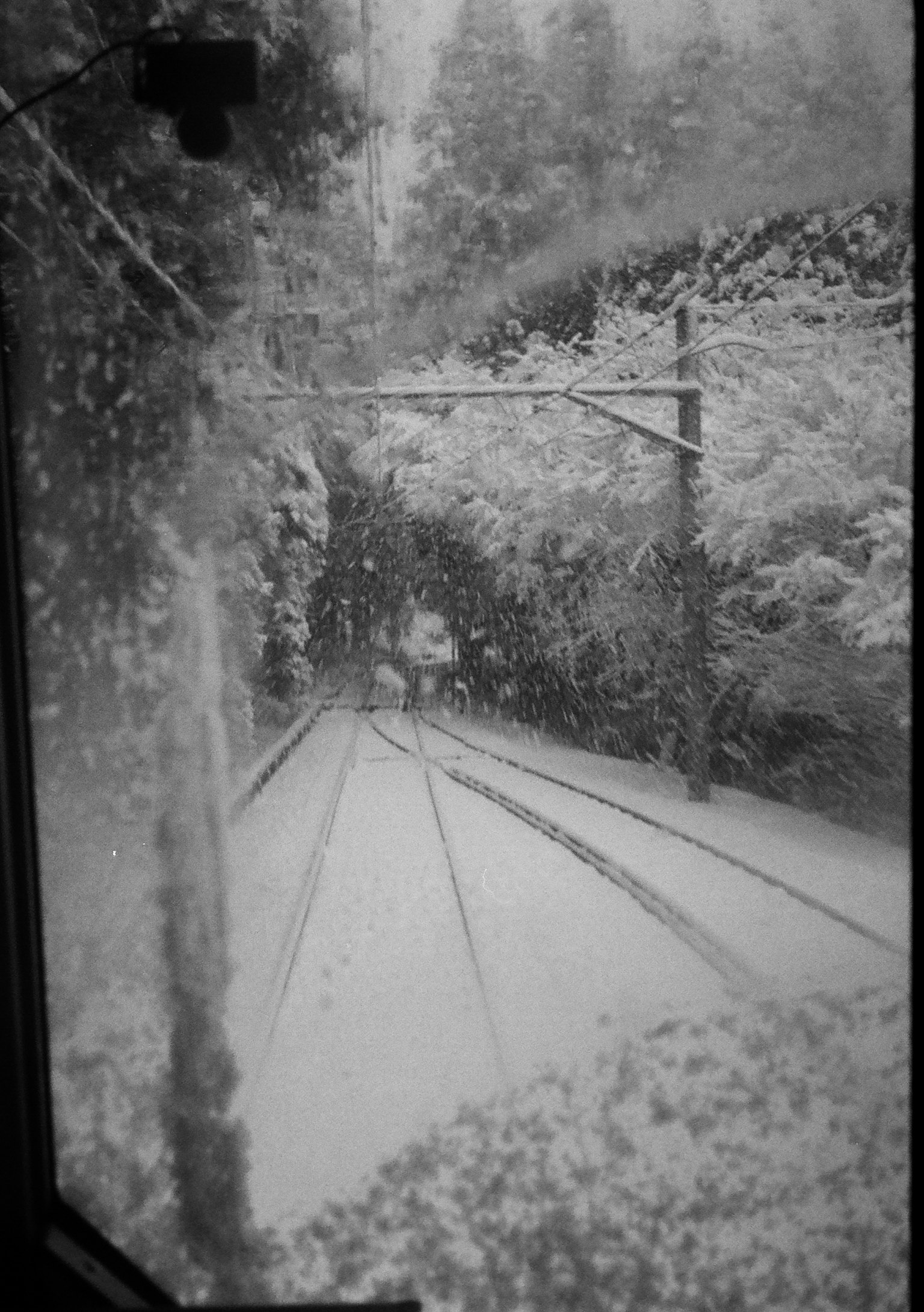 Vista di una ferrovia coperta di neve con binari e alberi visti attraverso una finestra