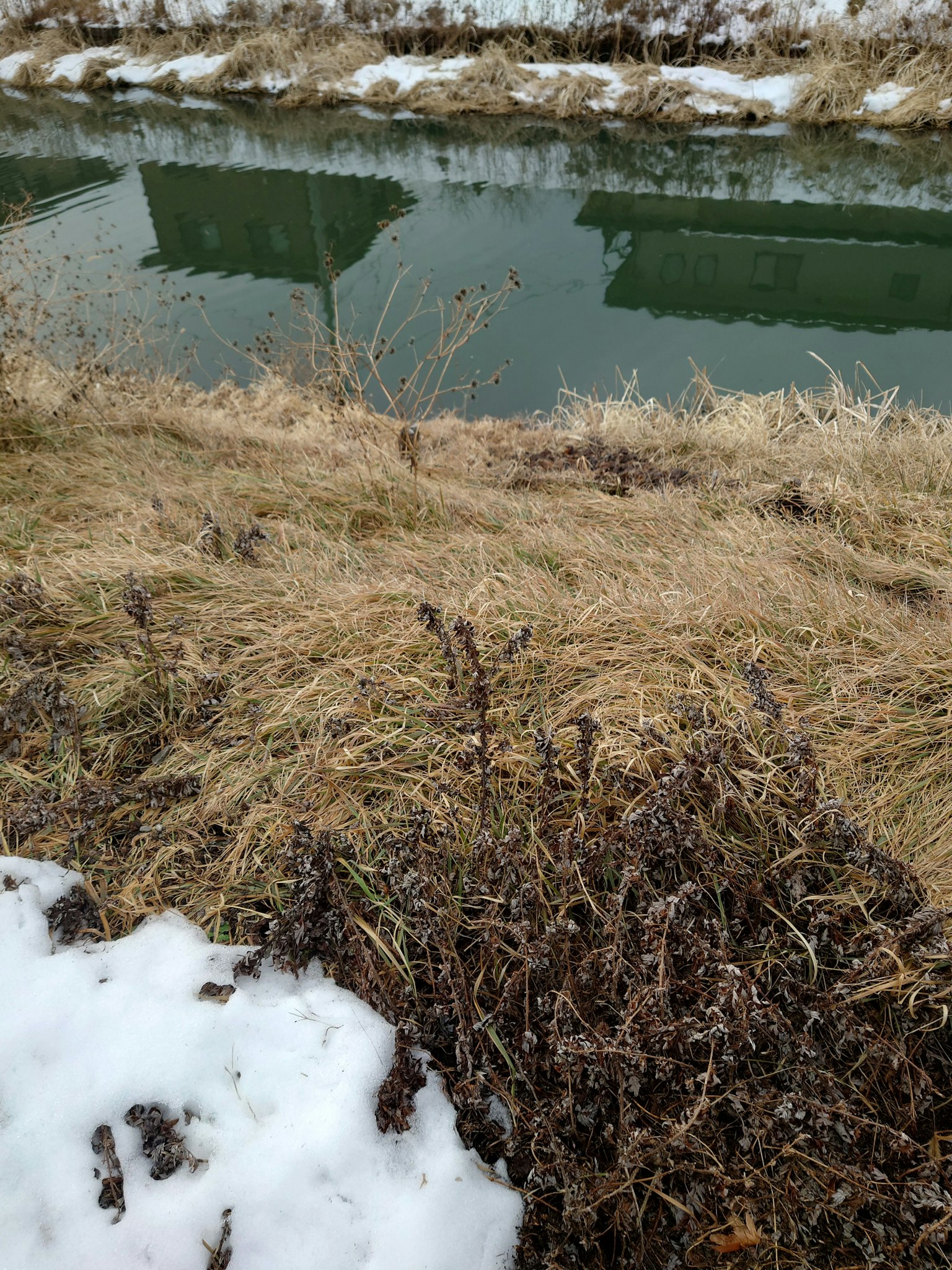 雪地與綠色水道的風景