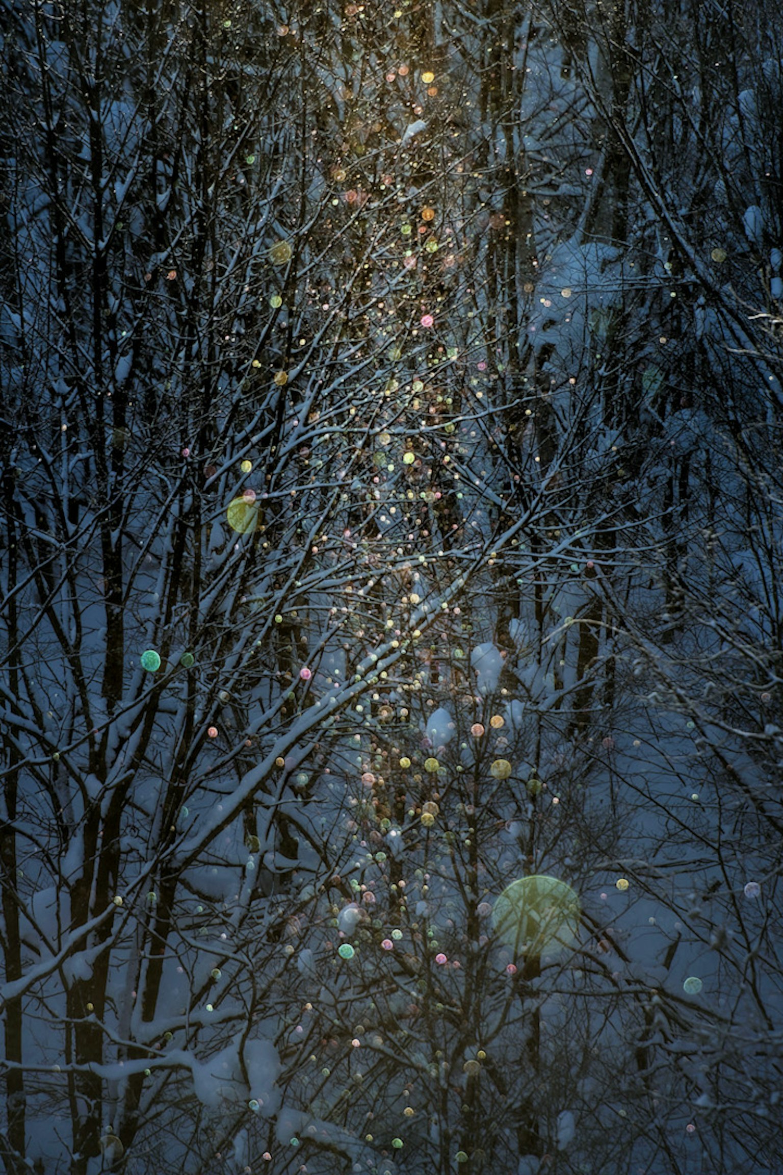 Enchanting winter scene with light filtering through snow-covered trees