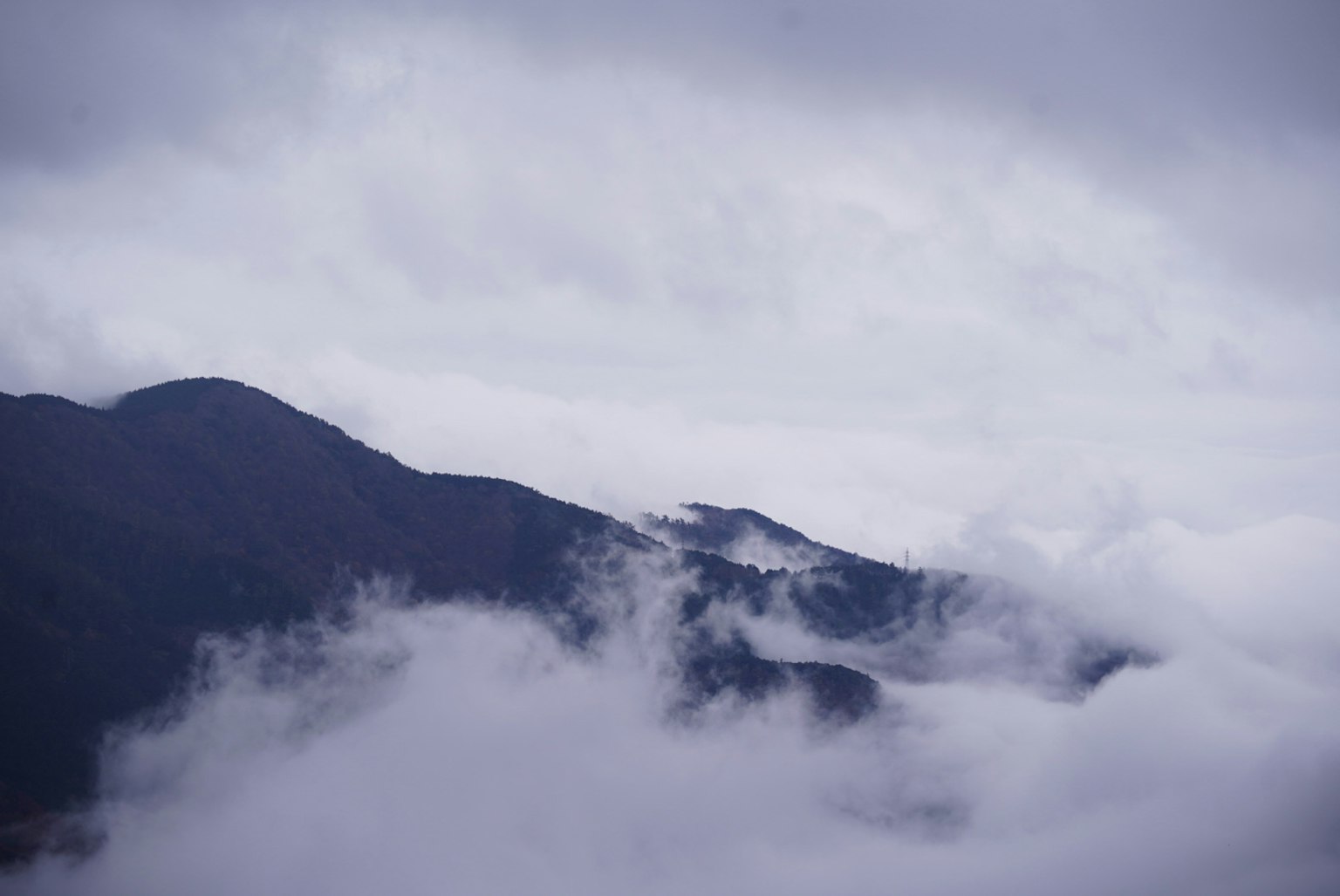Montagne avvolte nella nebbia con cielo grigio