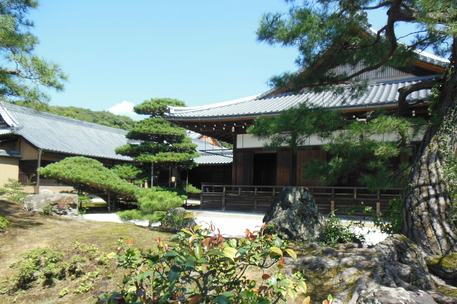 Scenic view of traditional Japanese buildings with lush gardens