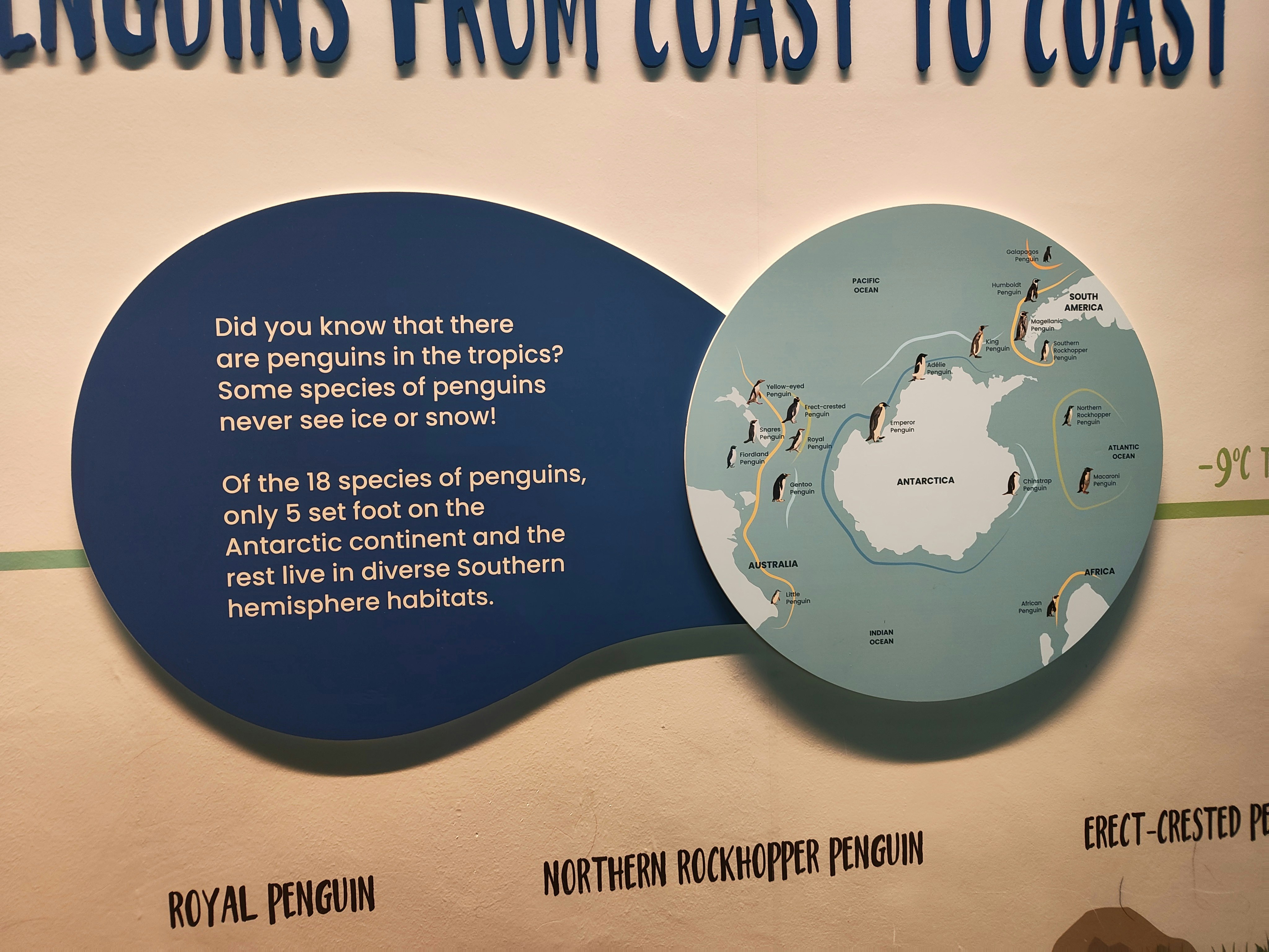 ペンギンの展示パネルと地図の説明