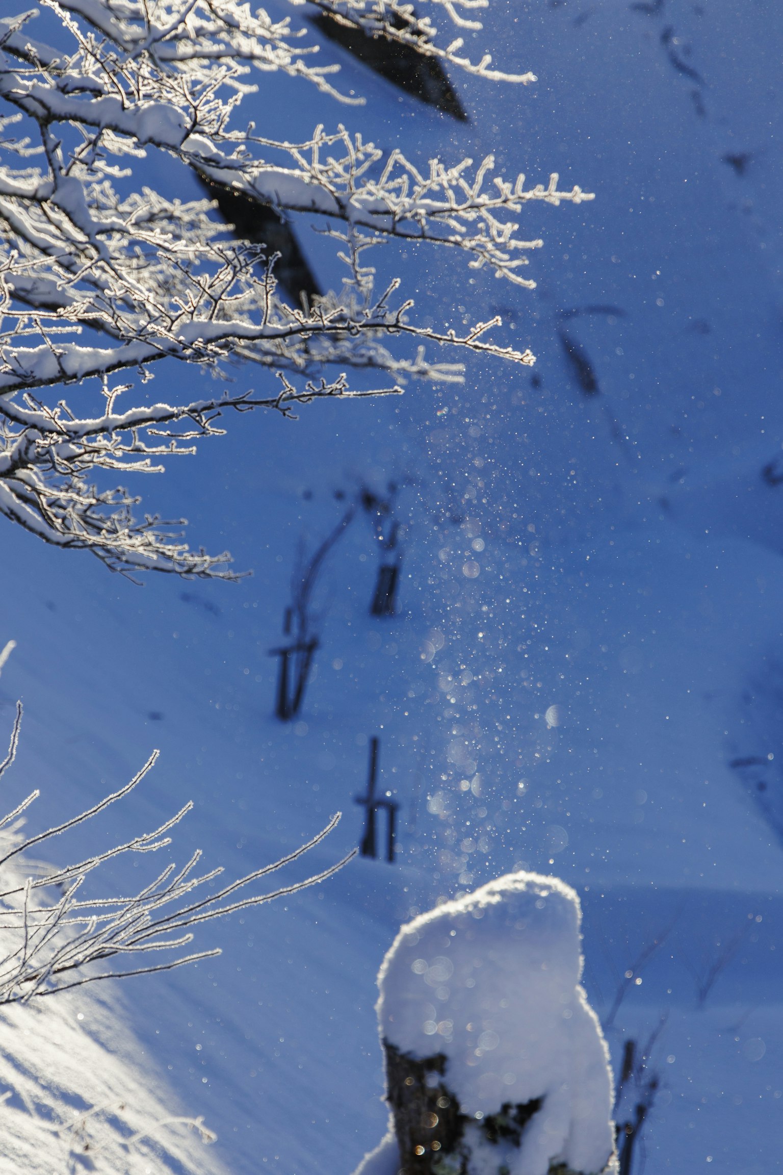 被雪覆盖的树木与蓝色背景下闪烁的雪花