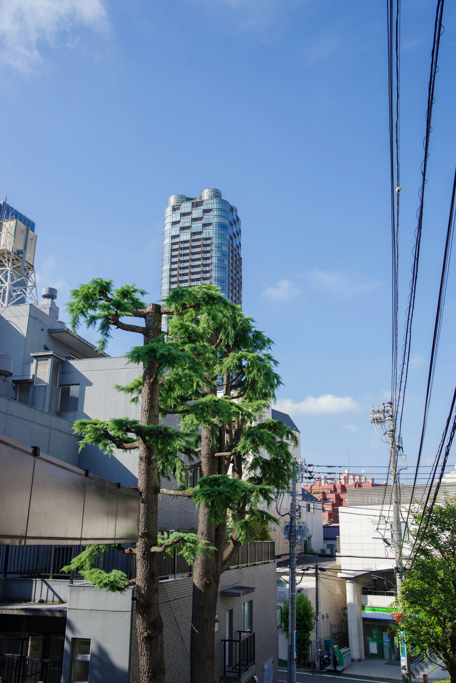 城市風景，藍天下有高樓和綠樹