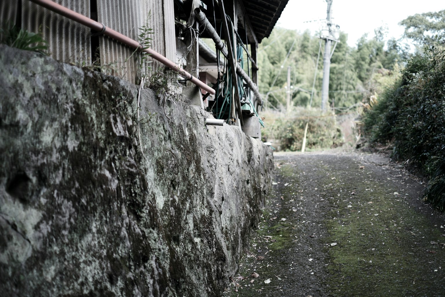 Sentiero rurale tranquillo accanto all'esterno di una vecchia casa
