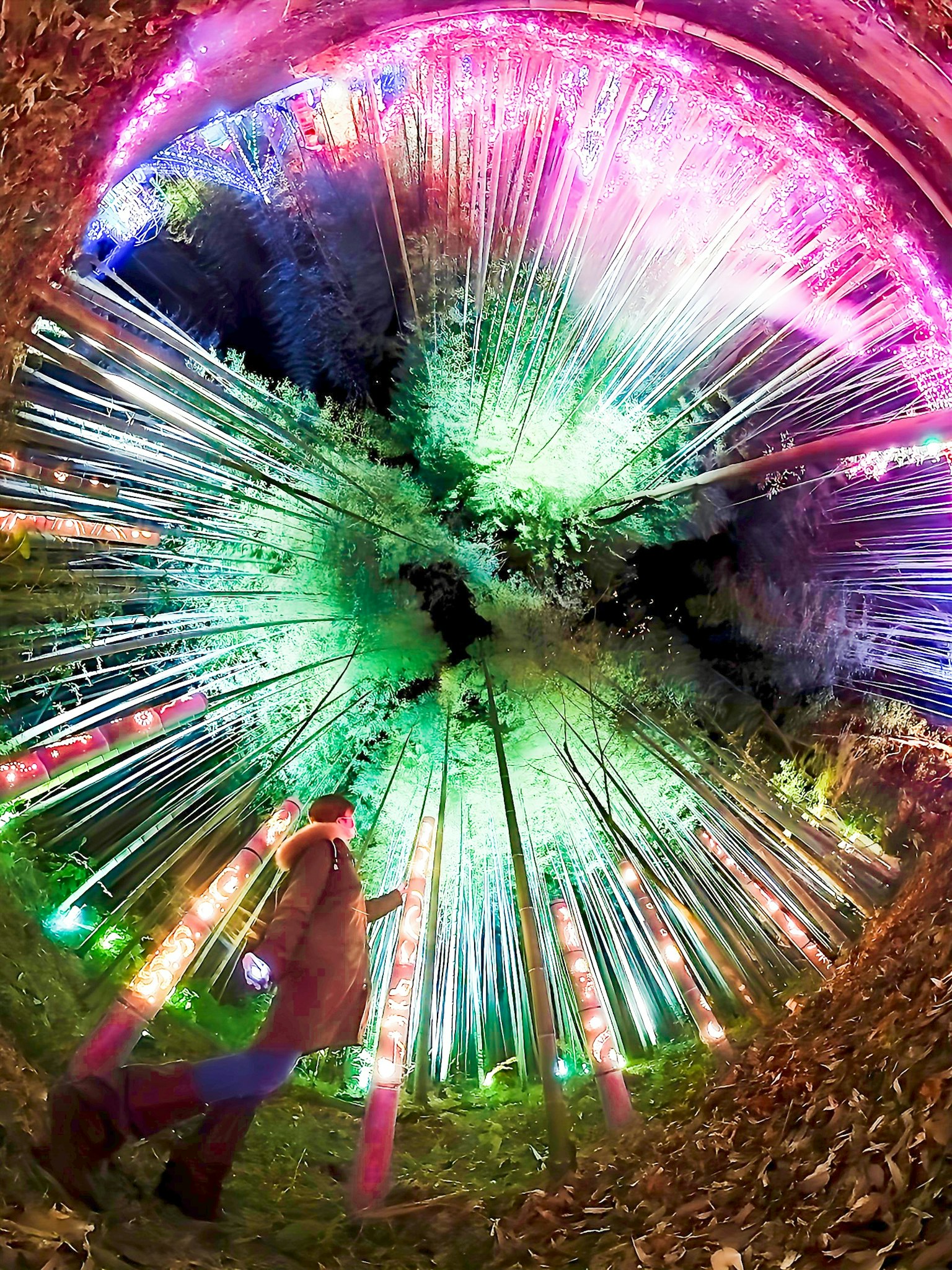 Bunte Lichter strahlen in einer Nachtszene mit einer stehenden Person